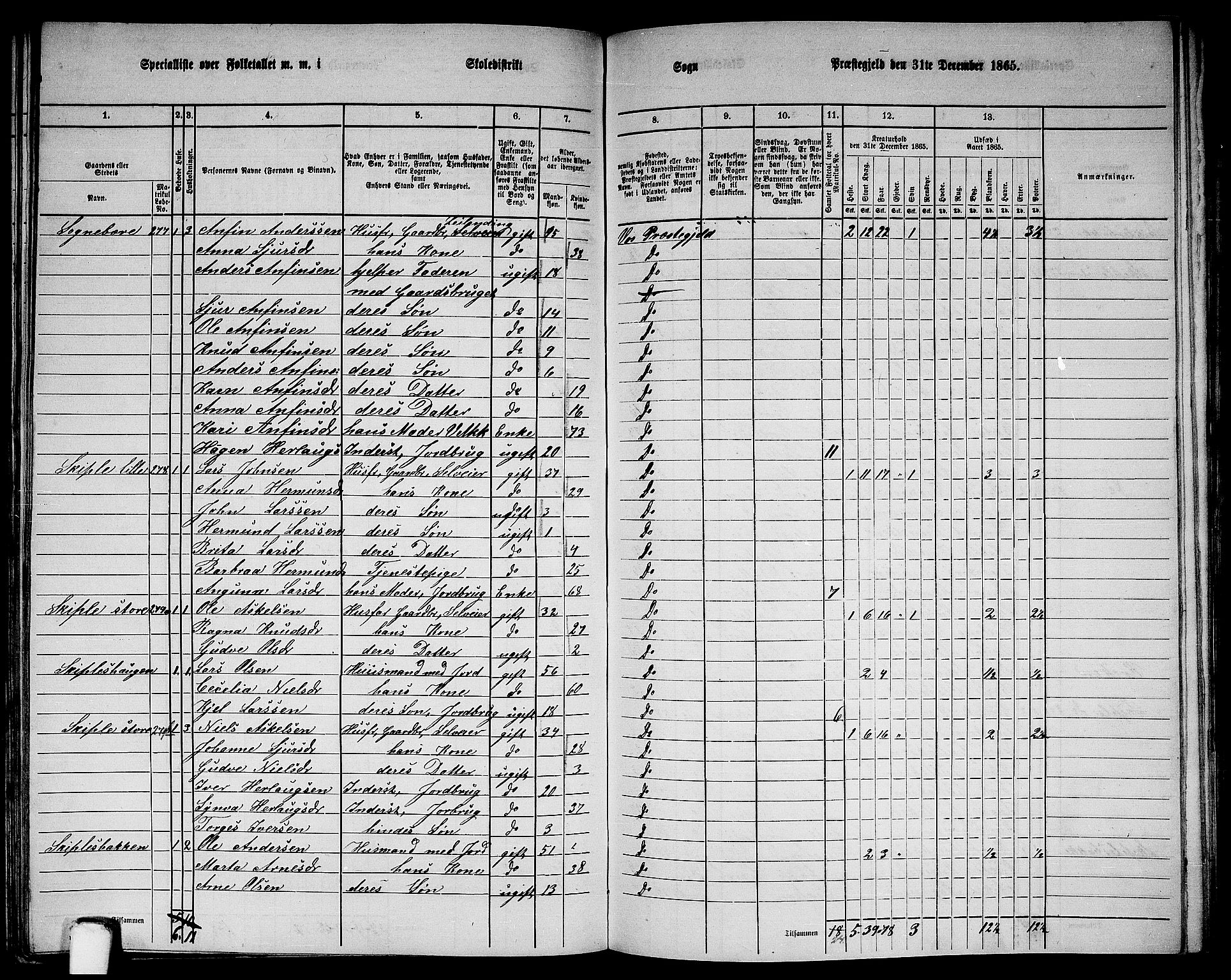 RA, 1865 census for Voss, 1865, p. 141