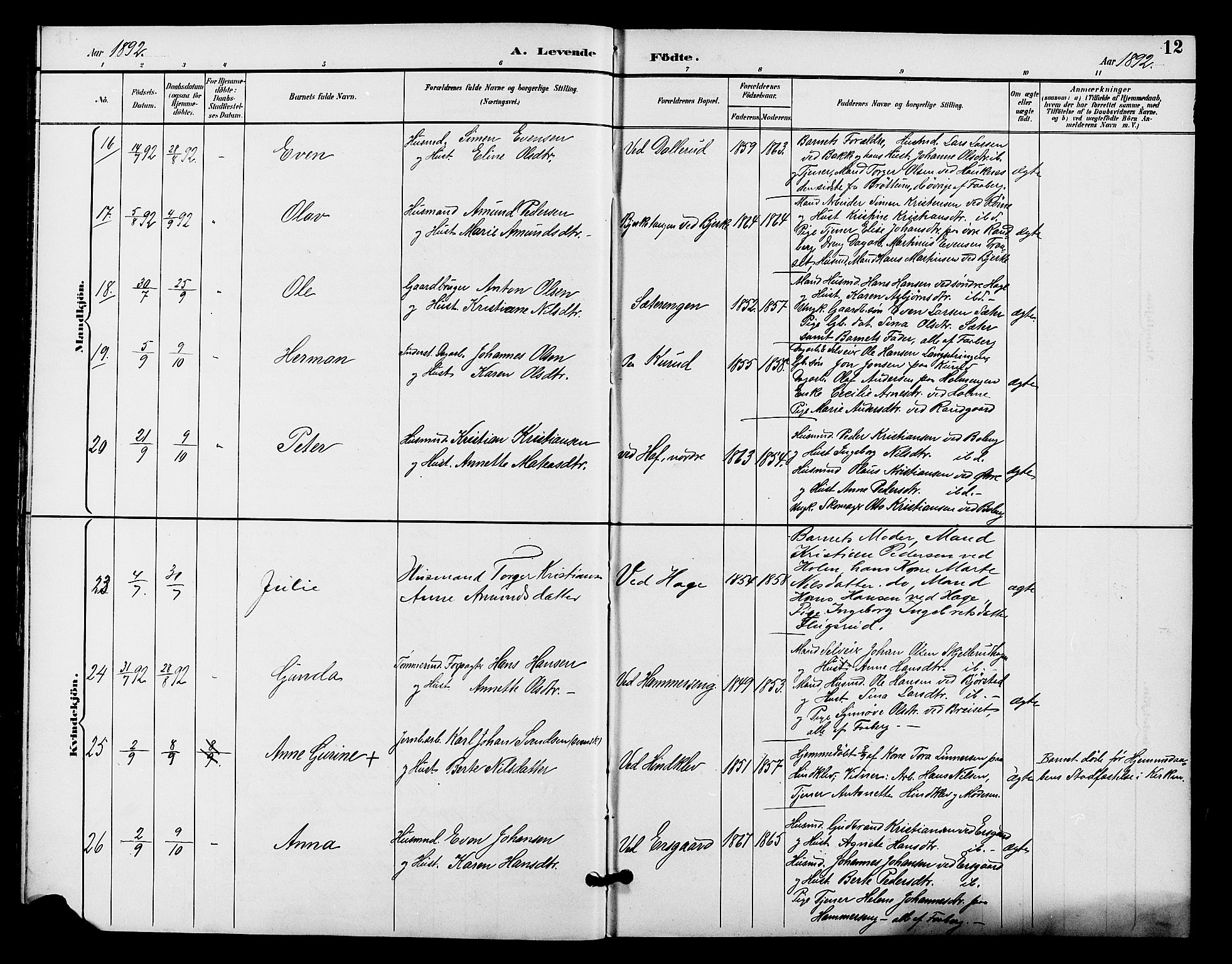 Fåberg prestekontor, AV/SAH-PREST-086/H/Ha/Hab/L0009: Parish register (copy) no. 9, 1891-1902, p. 12