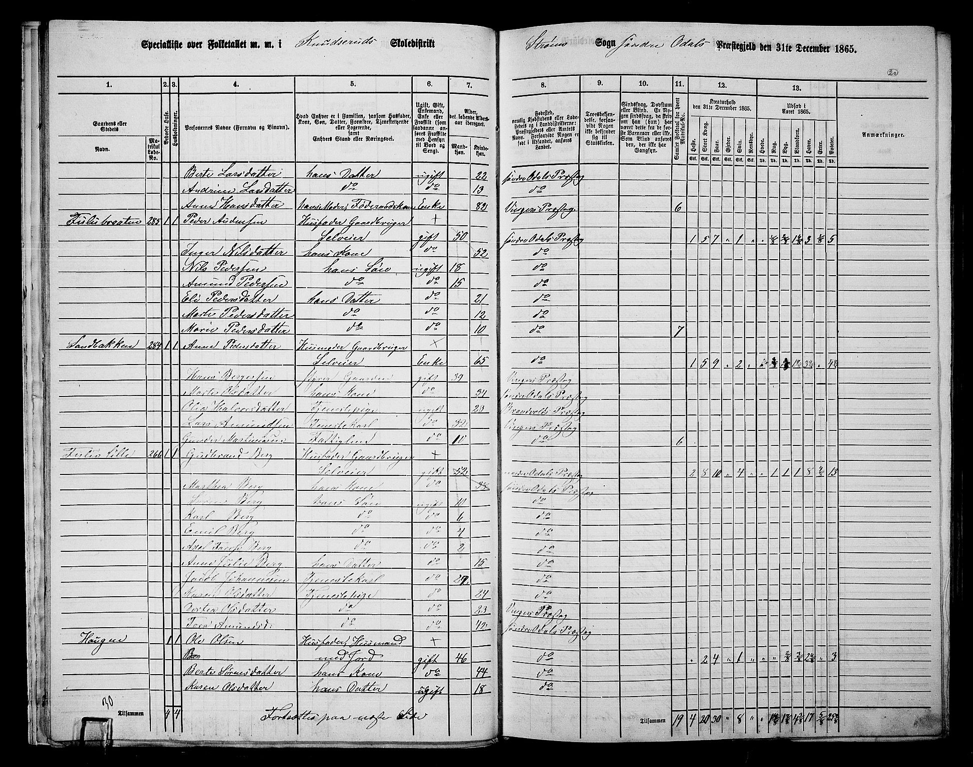 RA, 1865 census for Sør-Odal, 1865, p. 18