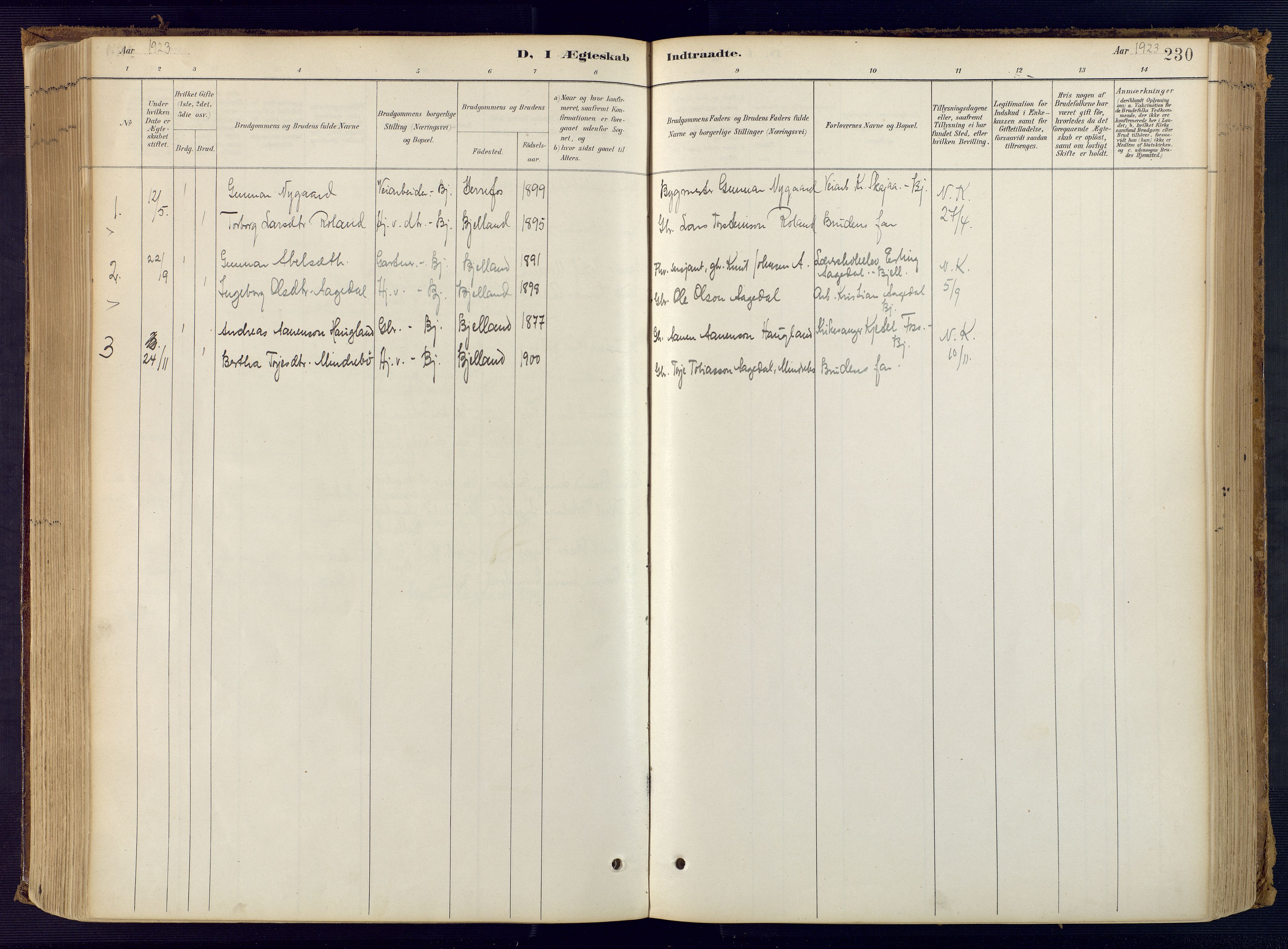 Bjelland sokneprestkontor, SAK/1111-0005/F/Fa/Faa/L0004: Parish register (official) no. A 4, 1887-1923, p. 230