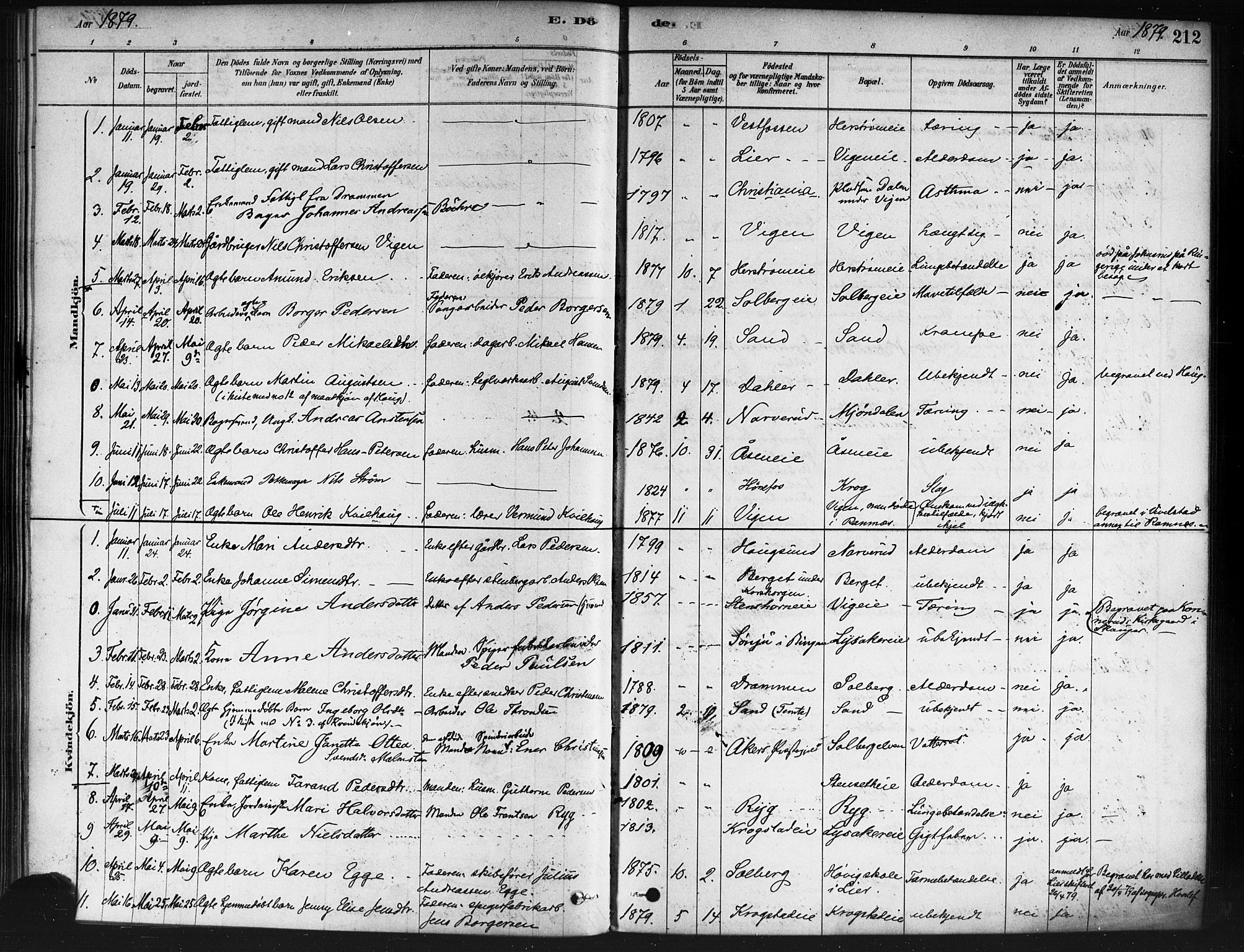 Nedre Eiker kirkebøker, SAKO/A-612/F/Fa/L0002: Parish register (official) no. 2, 1878-1885, p. 212