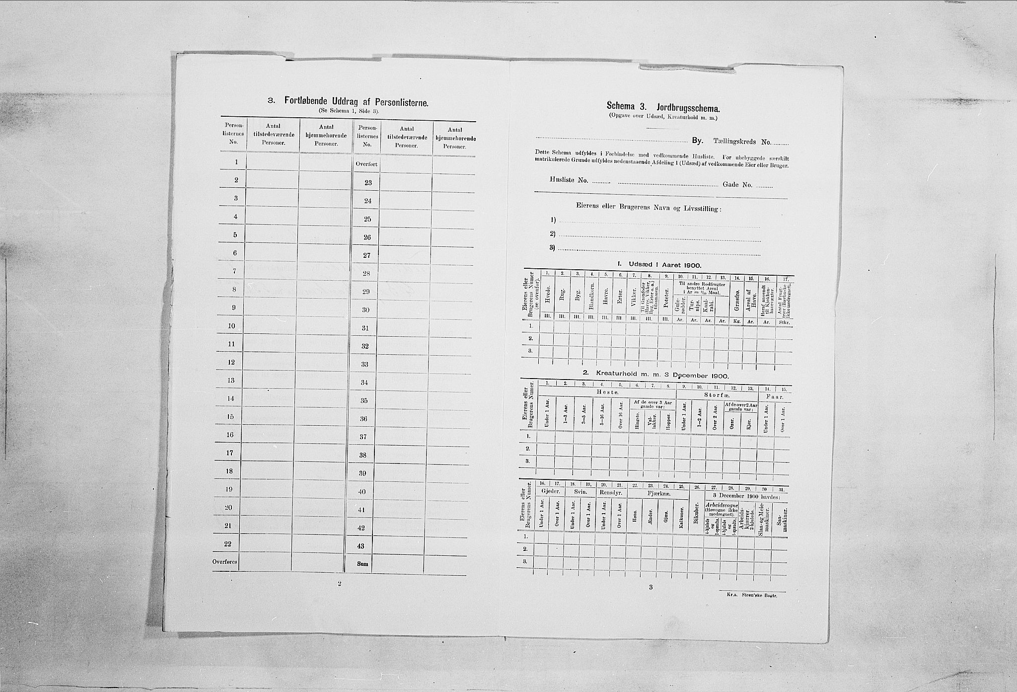 SAO, 1900 census for Fredrikshald, 1900