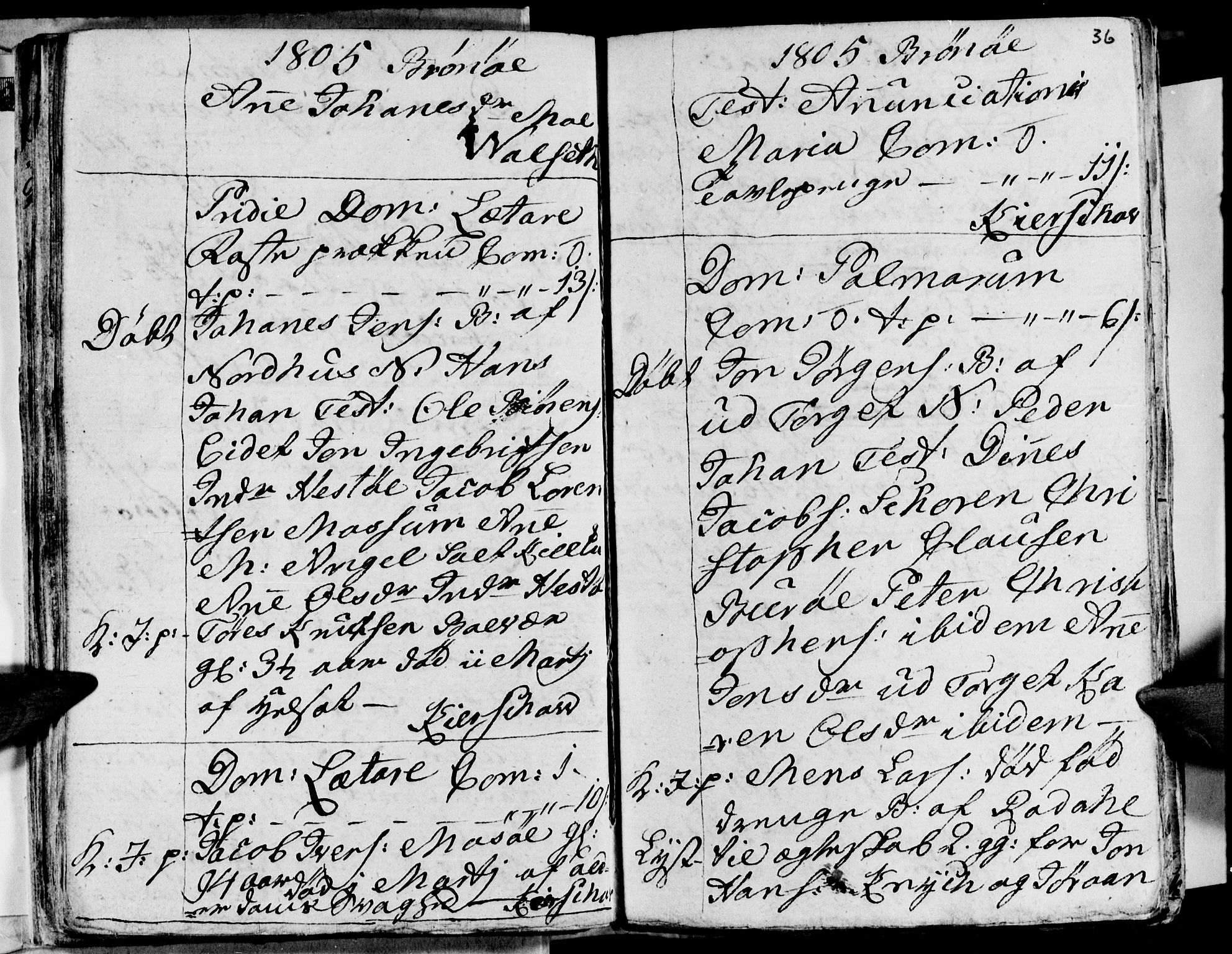 Ministerialprotokoller, klokkerbøker og fødselsregistre - Nordland, AV/SAT-A-1459/813/L0209: Parish register (copy) no. 813C01, 1803-1821, p. 36