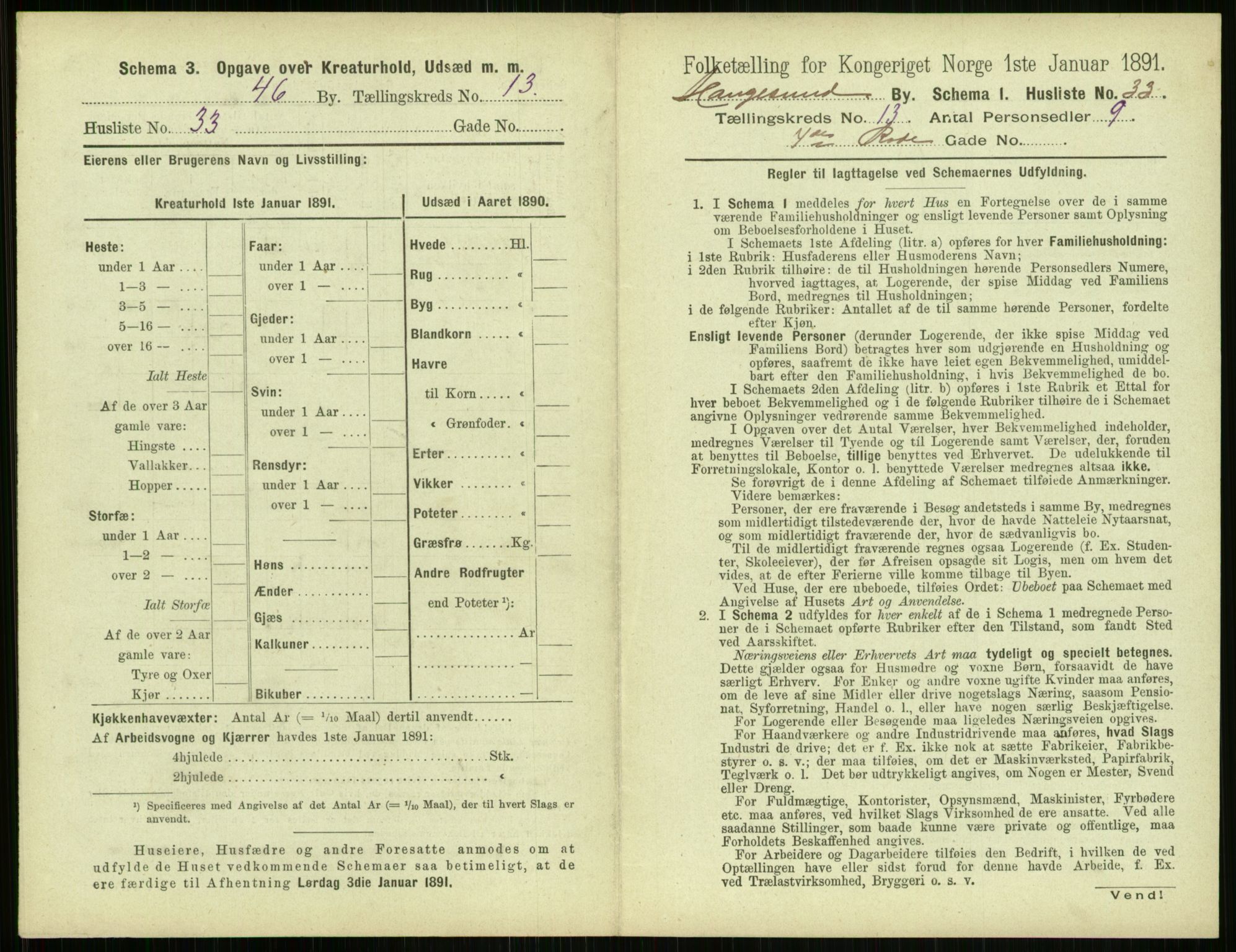 RA, 1891 census for 1106 Haugesund, 1891, p. 904