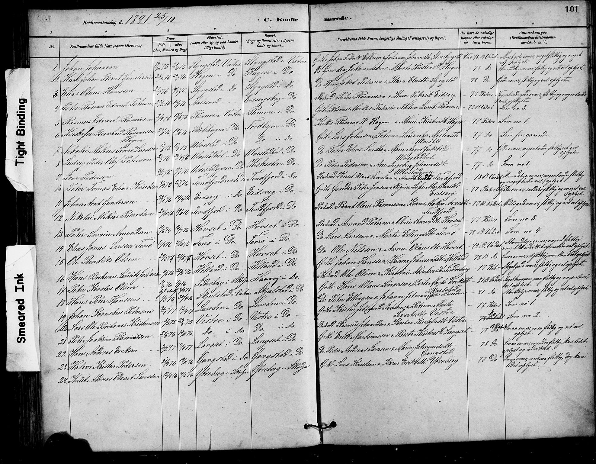 Ministerialprotokoller, klokkerbøker og fødselsregistre - Møre og Romsdal, AV/SAT-A-1454/525/L0376: Parish register (copy) no. 525C02, 1880-1902, p. 101