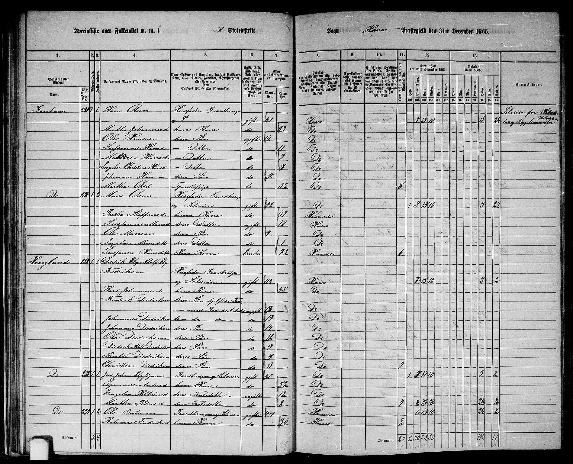 RA, 1865 census for Haus, 1865, p. 41