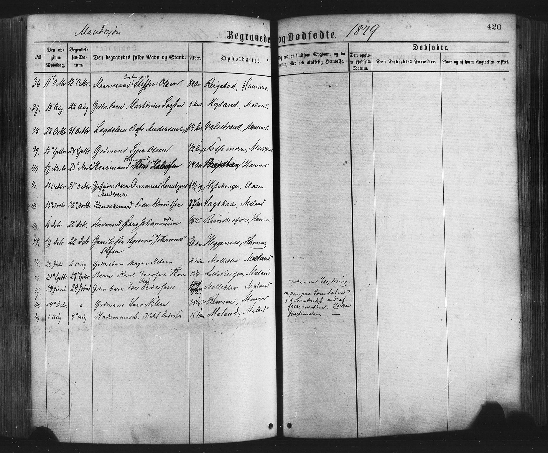 Hamre sokneprestembete, AV/SAB-A-75501/H/Ha/Haa/Haaa/L0015: Parish register (official) no. A 15, 1870-1881, p. 420