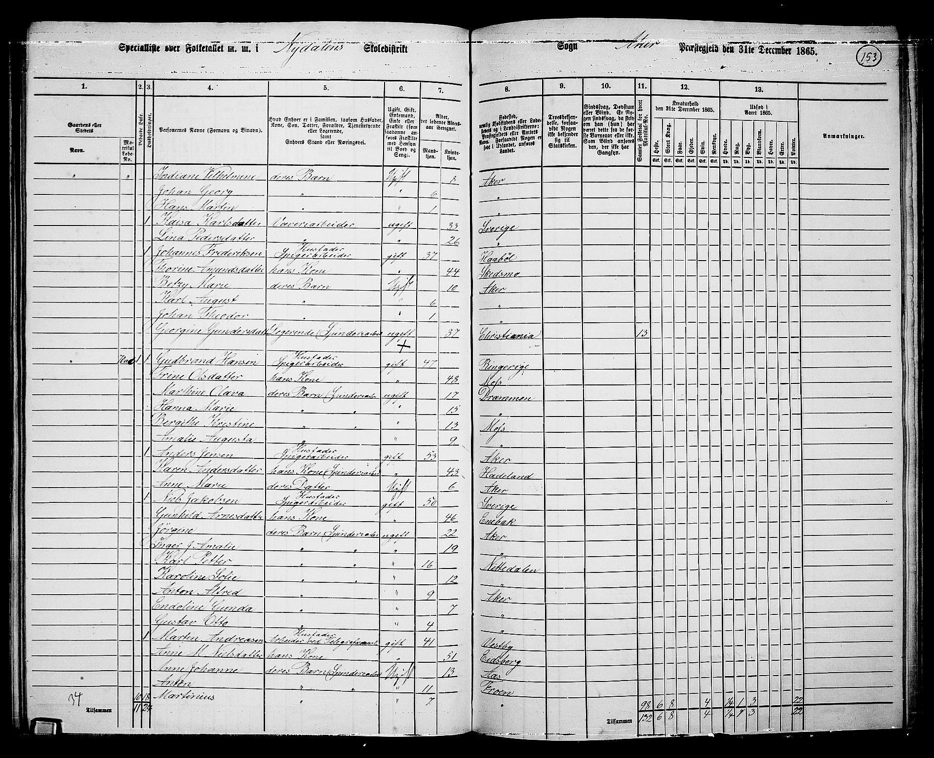 RA, 1865 census for Vestre Aker, 1865, p. 136