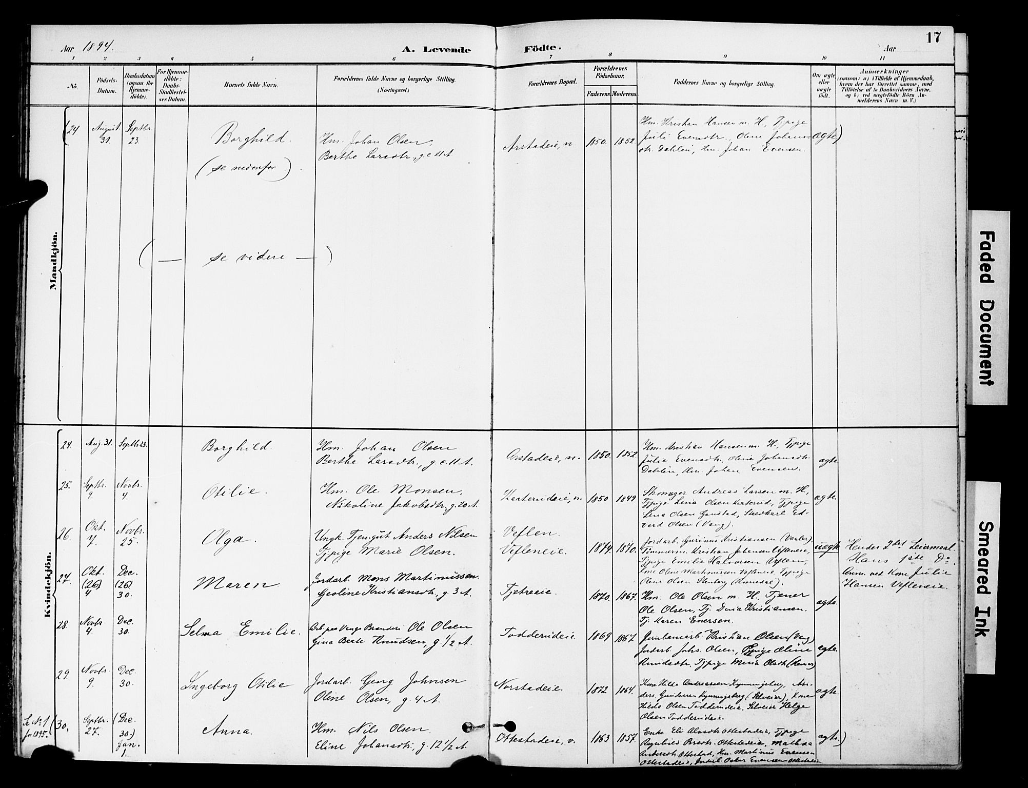 Stange prestekontor, AV/SAH-PREST-002/K/L0021: Parish register (official) no. 21, 1891-1902, p. 17