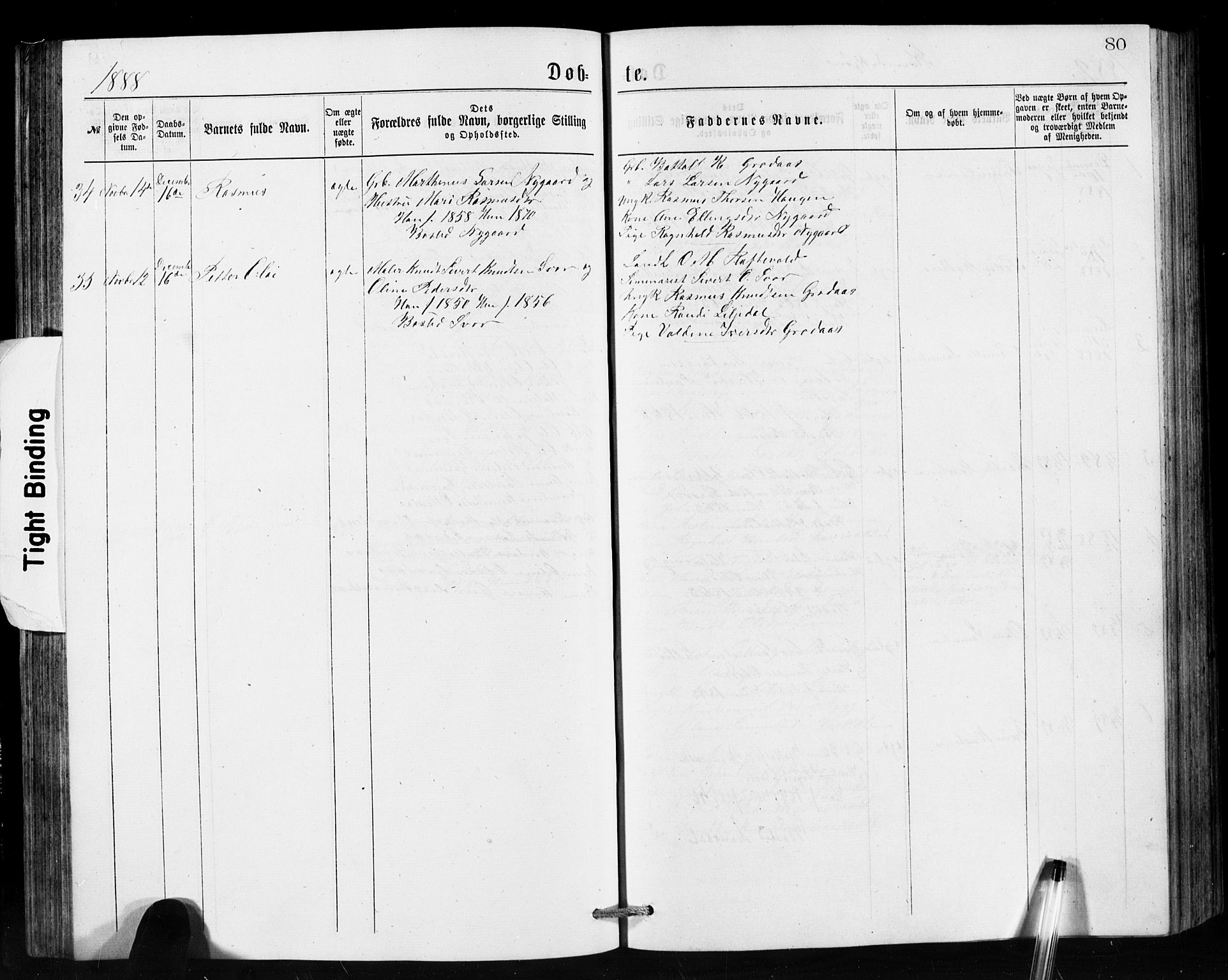 Hornindal sokneprestembete, SAB/A-82401/H/Hab: Parish register (copy) no. A 1, 1876-1894, p. 80