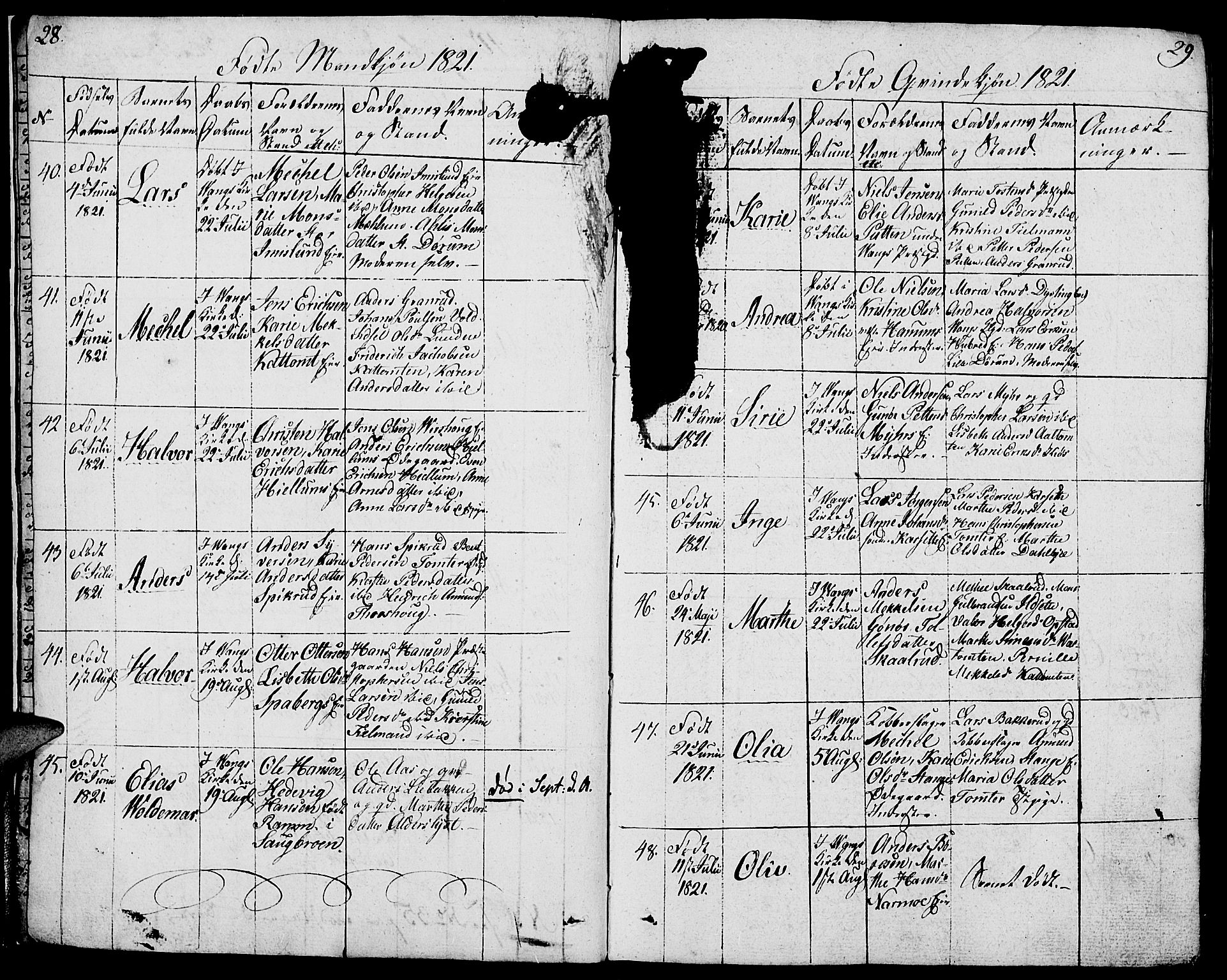 Vang prestekontor, Hedmark, AV/SAH-PREST-008/H/Ha/Haa/L0006: Parish register (official) no. 6 /1, 1809-1827, p. 28-29