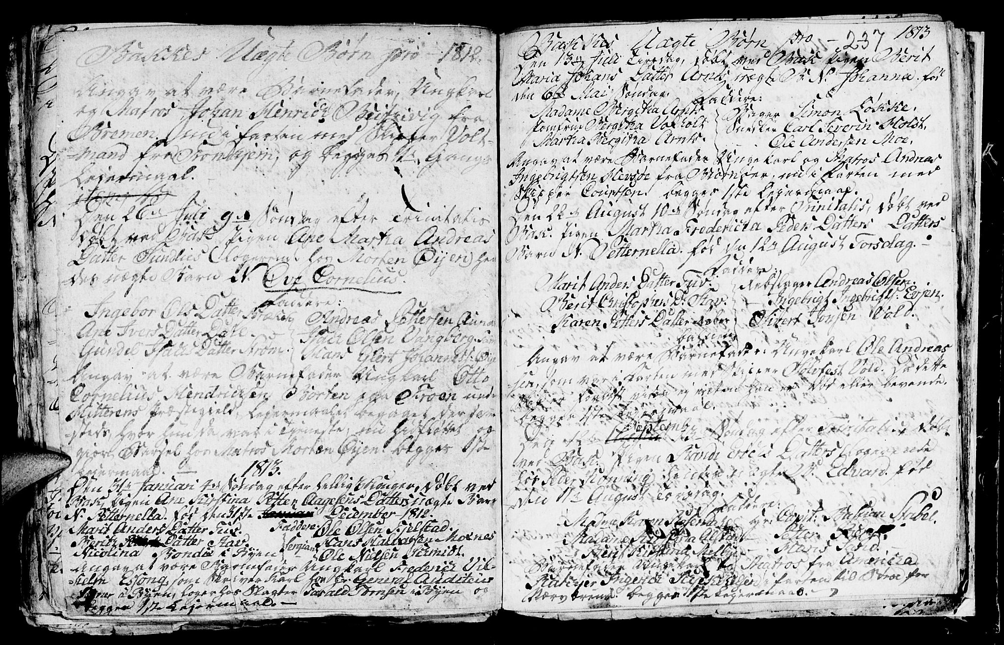 Ministerialprotokoller, klokkerbøker og fødselsregistre - Sør-Trøndelag, SAT/A-1456/604/L0218: Parish register (copy) no. 604C01, 1754-1819, p. 237