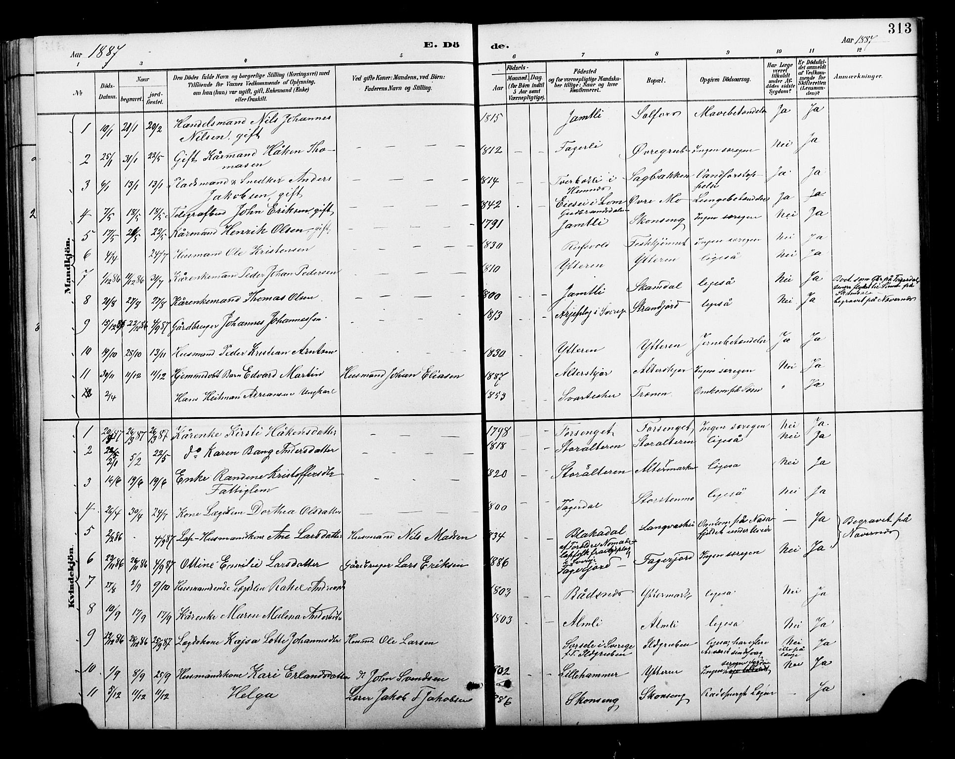 Ministerialprotokoller, klokkerbøker og fødselsregistre - Nordland, SAT/A-1459/827/L0421: Parish register (copy) no. 827C10, 1887-1906, p. 313
