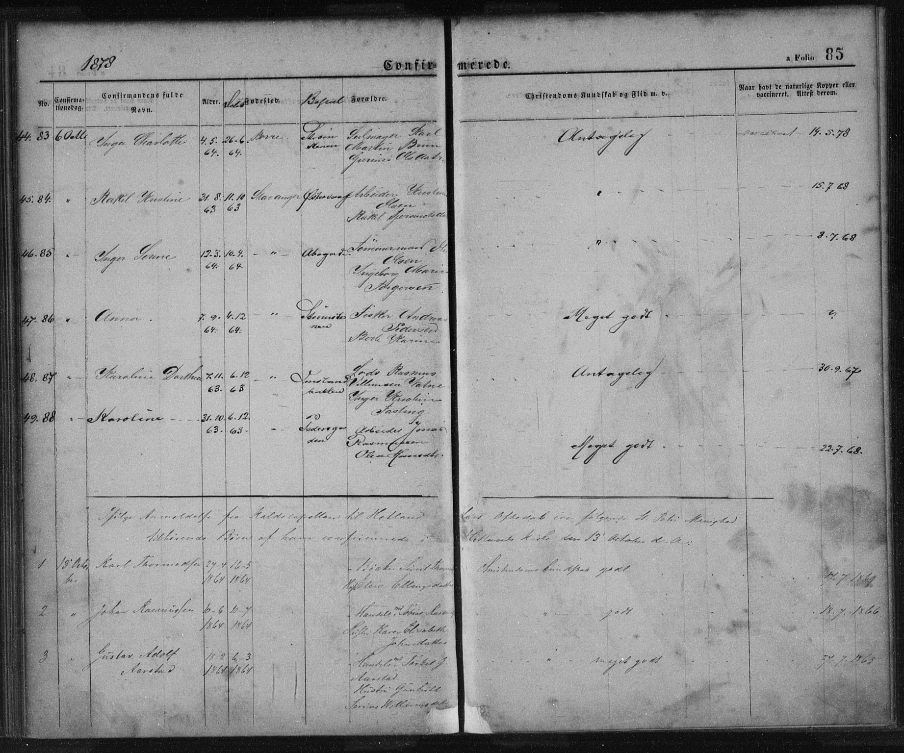 St. Petri sokneprestkontor, AV/SAST-A-101813/001/30/30BA/L0013: Parish register (official) no. A 13, 1875-1878, p. 85