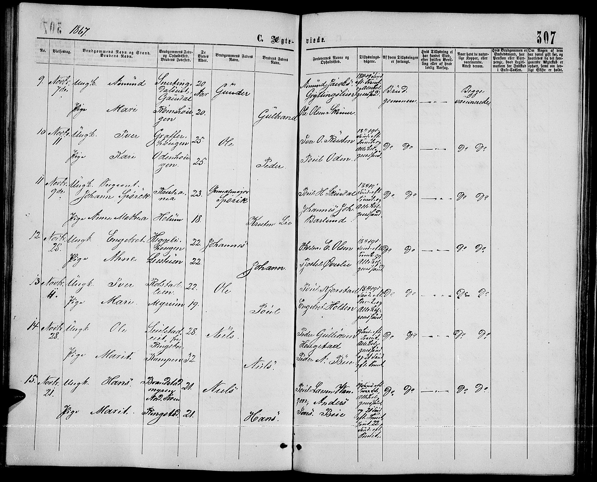 Sør-Fron prestekontor, SAH/PREST-010/H/Ha/Hab/L0002: Parish register (copy) no. 2, 1864-1883, p. 307