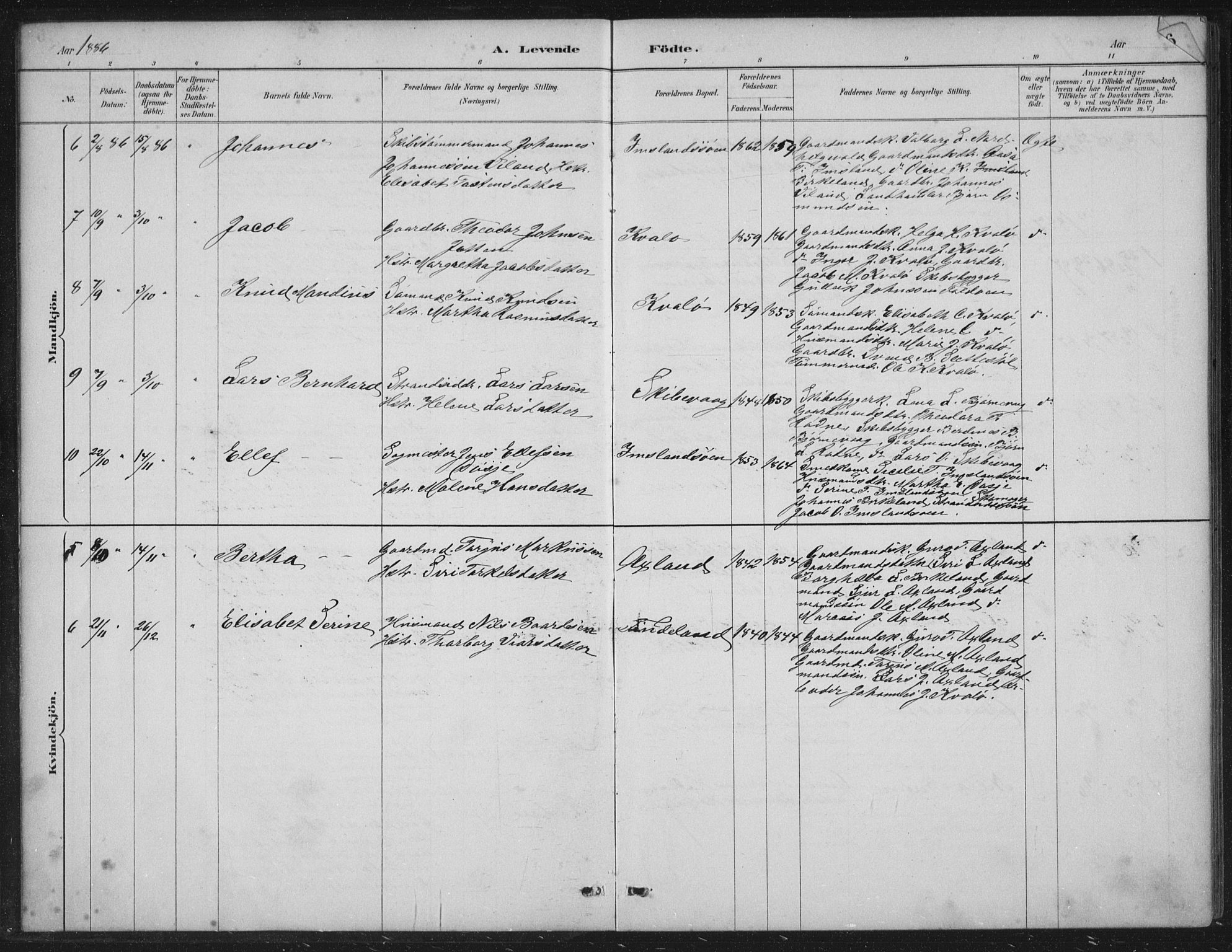 Vikedal sokneprestkontor, SAST/A-101840/01/IV: Parish register (official) no. A 12, 1886-1929, p. 6