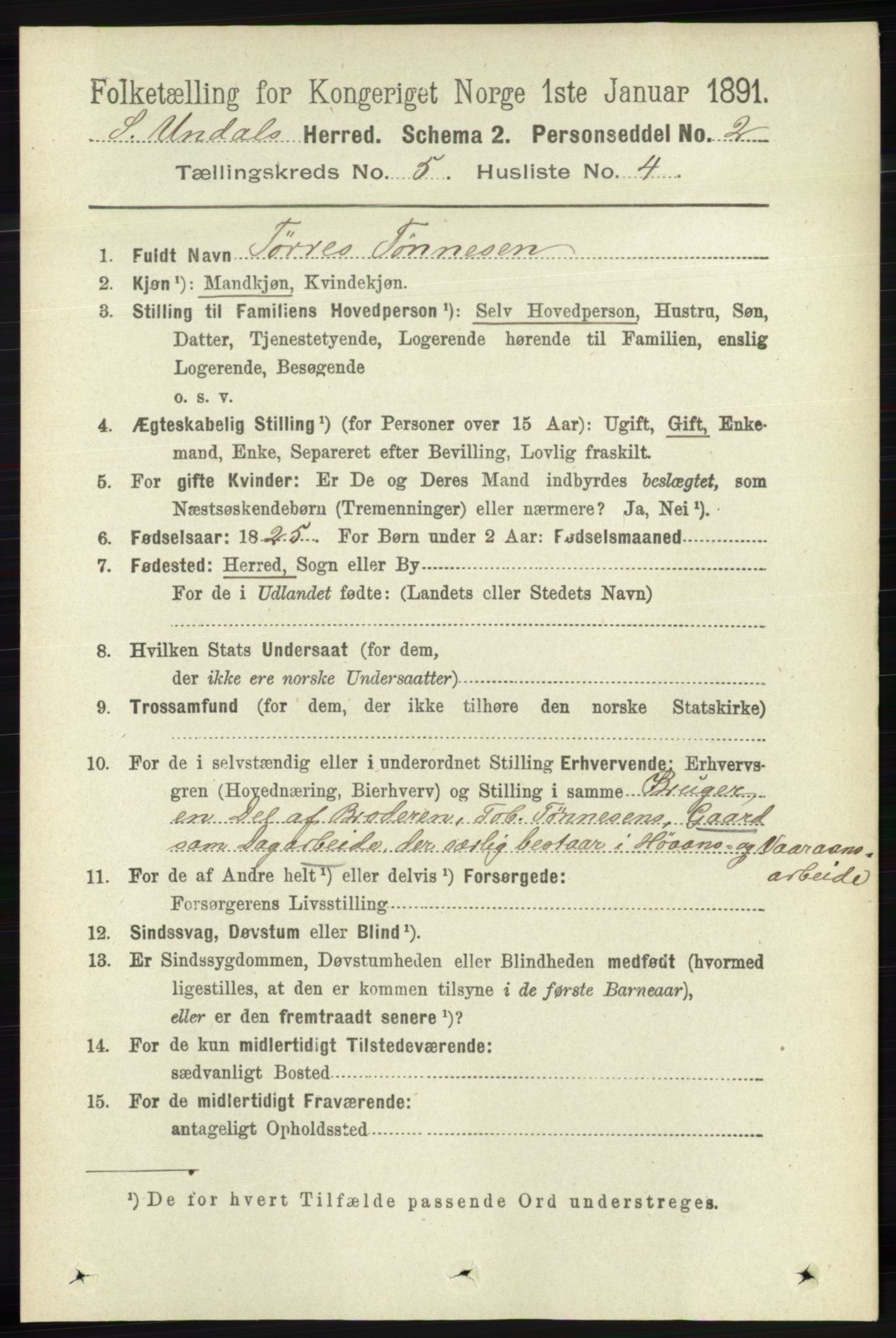 RA, 1891 census for 1029 Sør-Audnedal, 1891, p. 1919