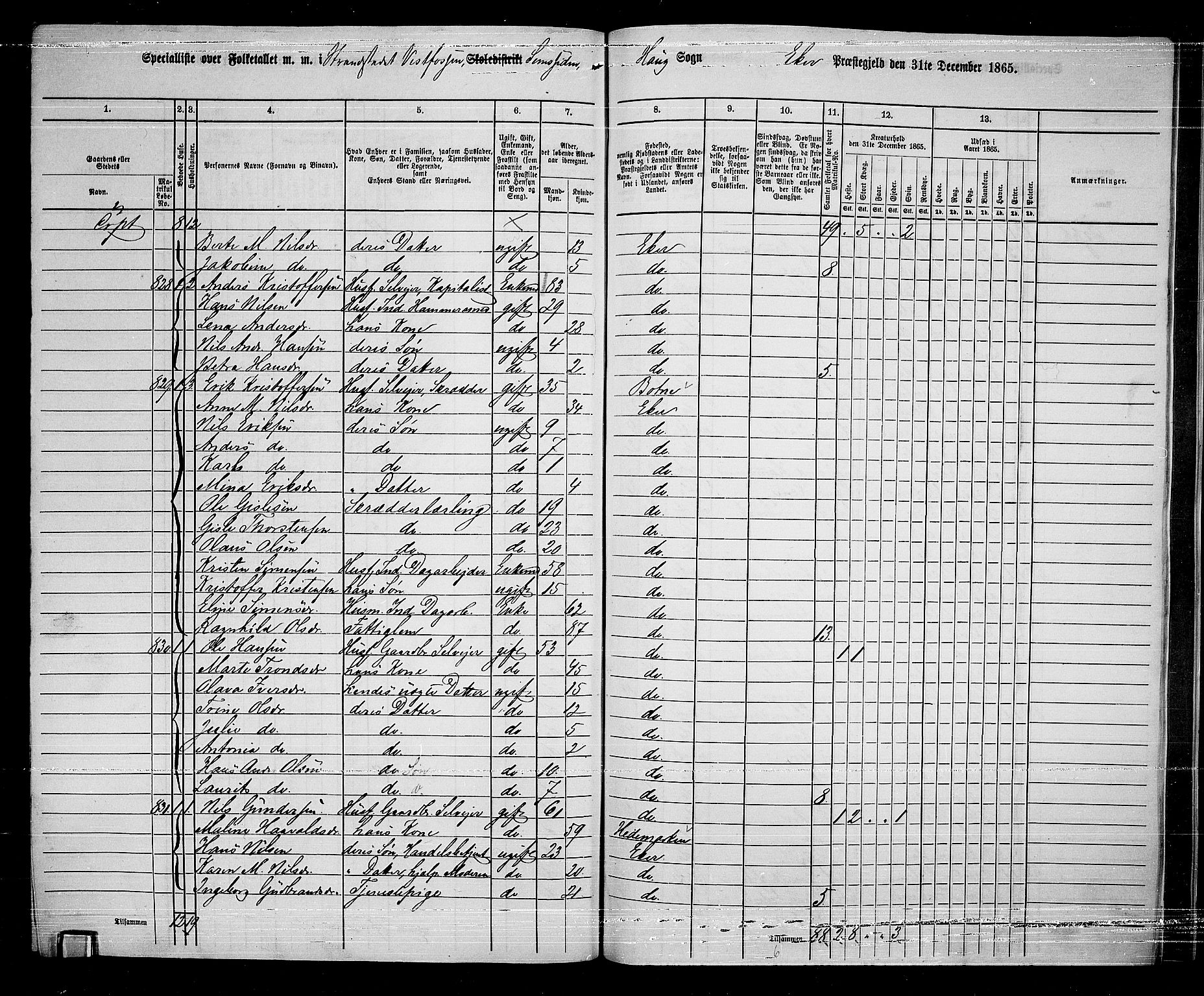 RA, 1865 census for Eiker, 1865, p. 243