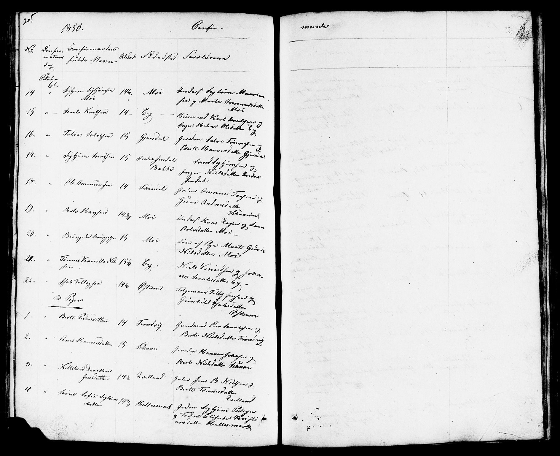 Lund sokneprestkontor, AV/SAST-A-101809/S07/L0003: Parish register (copy) no. B 3, 1848-1885, p. 205