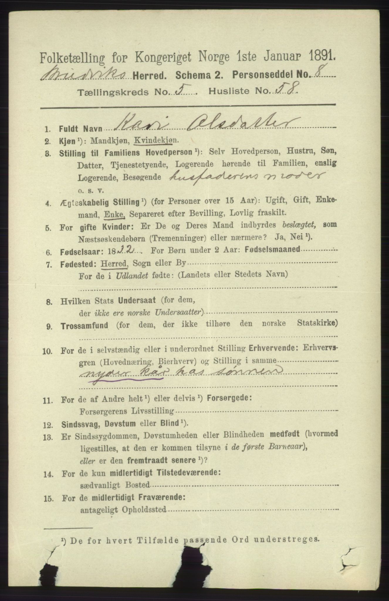 RA, 1891 census for 1251 Bruvik, 1891, p. 1725