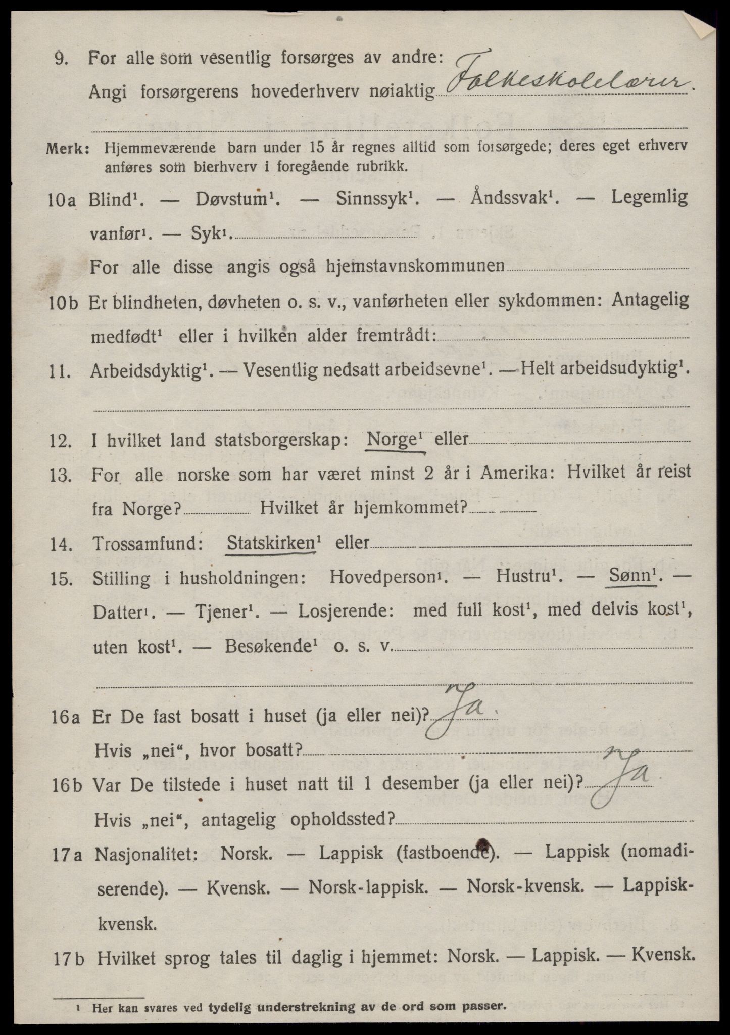 SAT, 1920 census for Støren, 1920, p. 3455