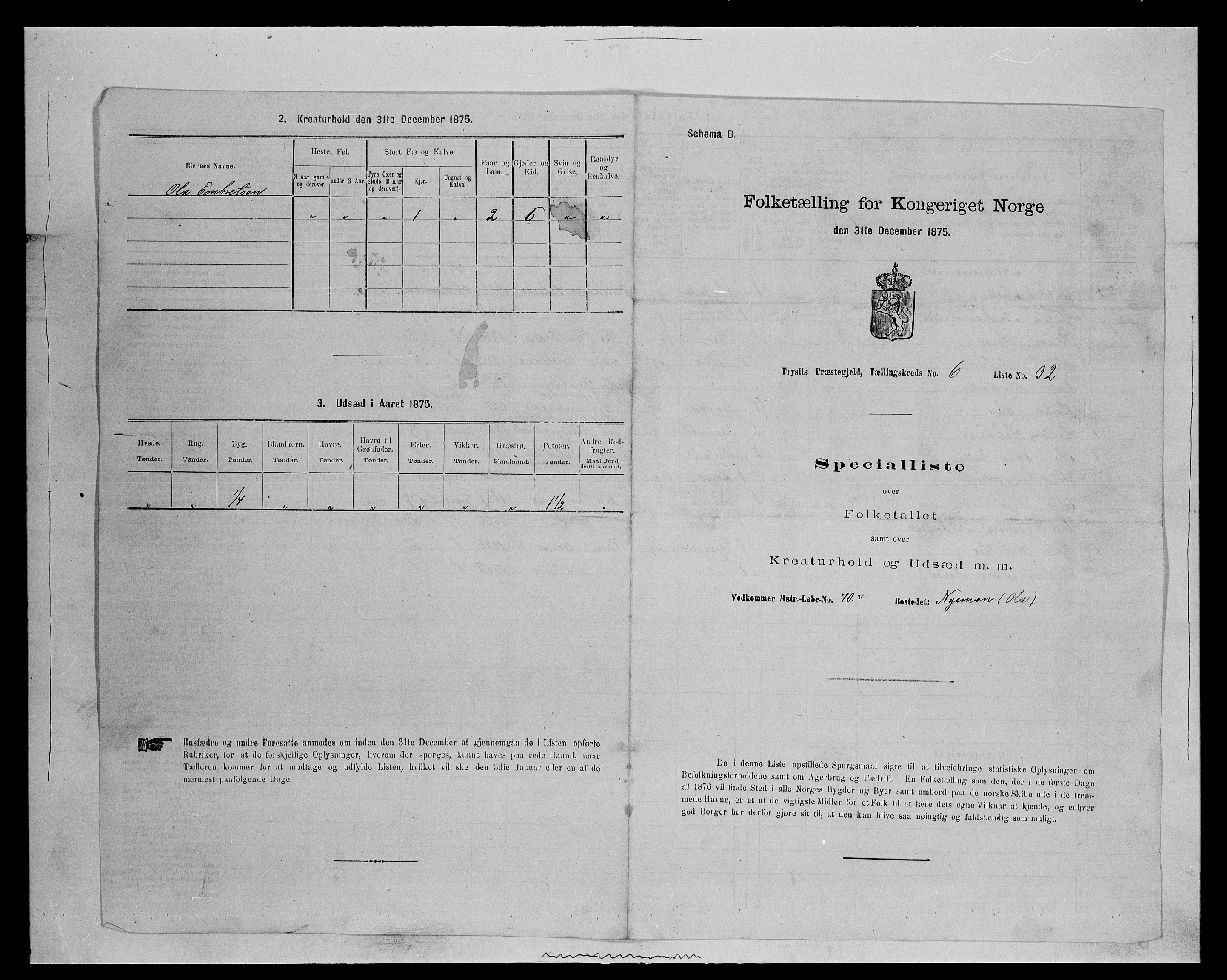 SAH, 1875 census for 0428P Trysil, 1875, p. 783