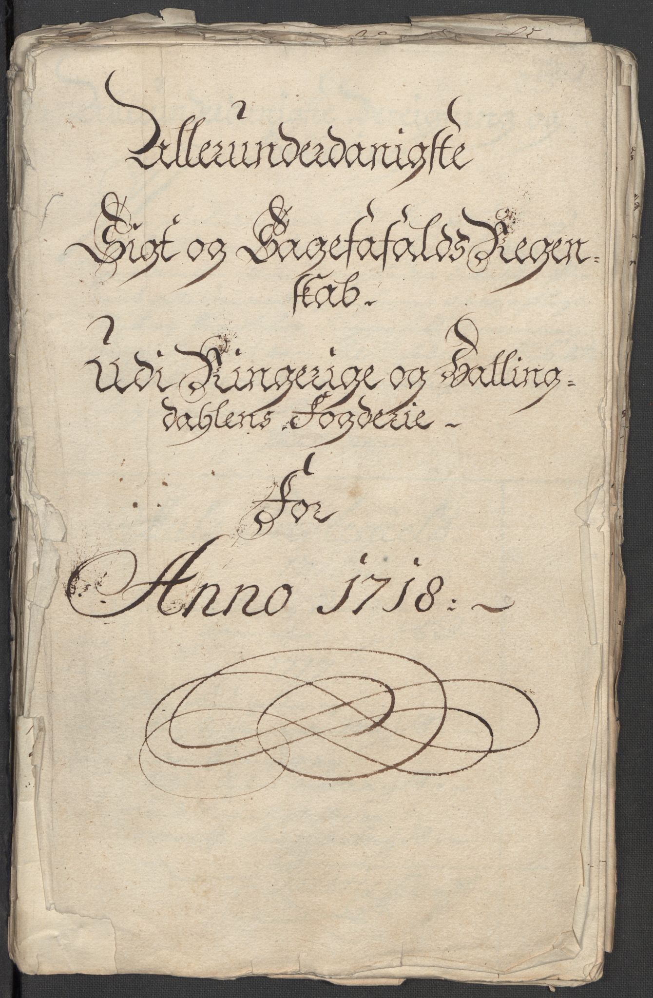 Rentekammeret inntil 1814, Reviderte regnskaper, Fogderegnskap, AV/RA-EA-4092/R23/L1476: Fogderegnskap Ringerike og Hallingdal, 1718, p. 136