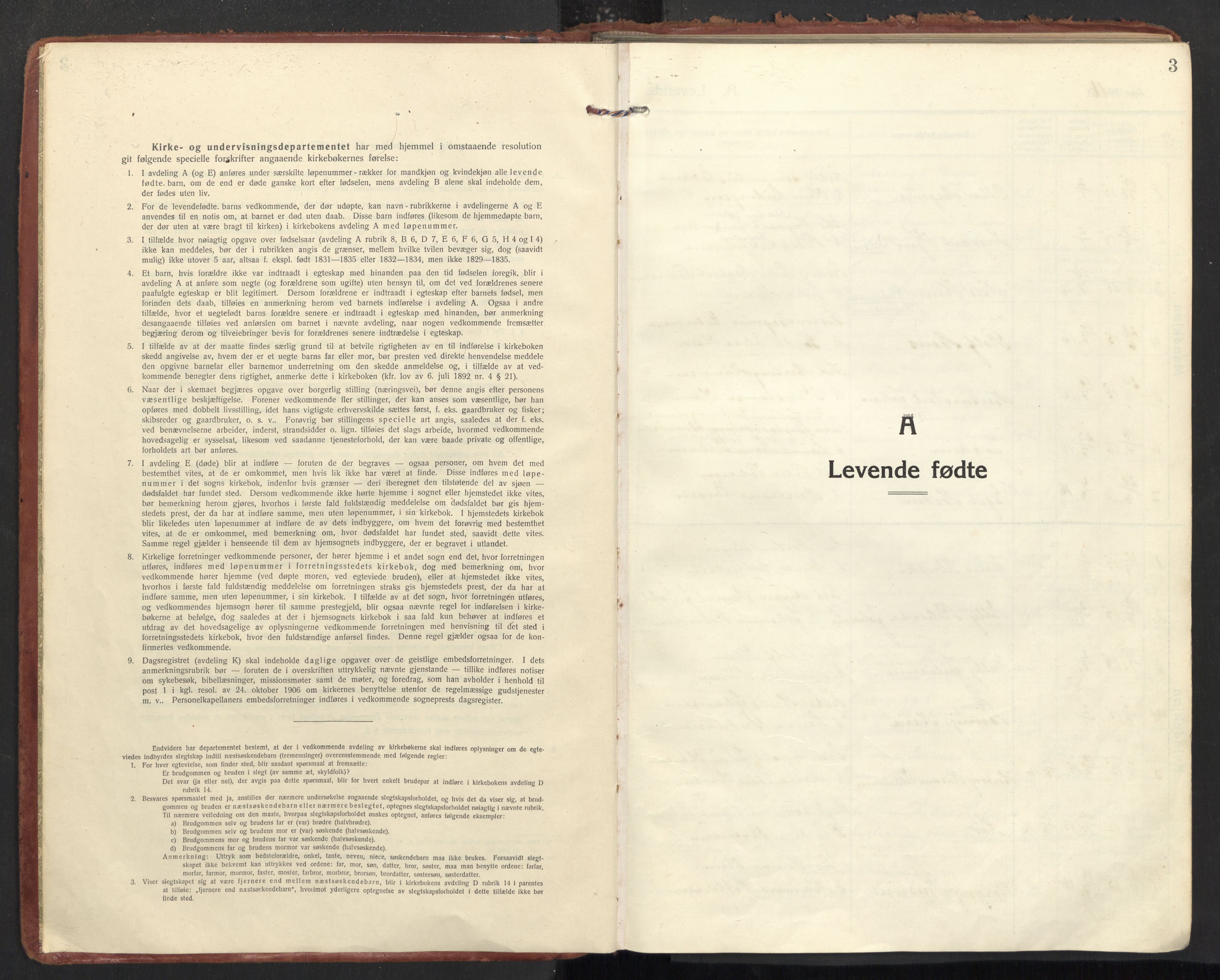 Ministerialprotokoller, klokkerbøker og fødselsregistre - Nordland, SAT/A-1459/890/L1288: Parish register (official) no. 890A03, 1915-1925, p. 3