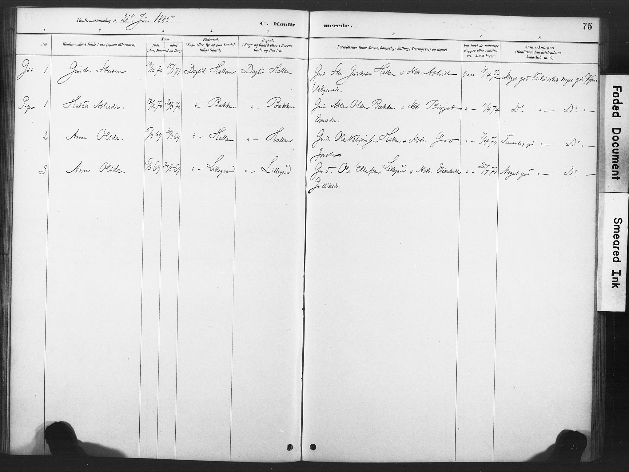 Nore kirkebøker, AV/SAKO-A-238/F/Fd/L0001: Parish register (official) no. IV 1, 1878-1918, p. 75