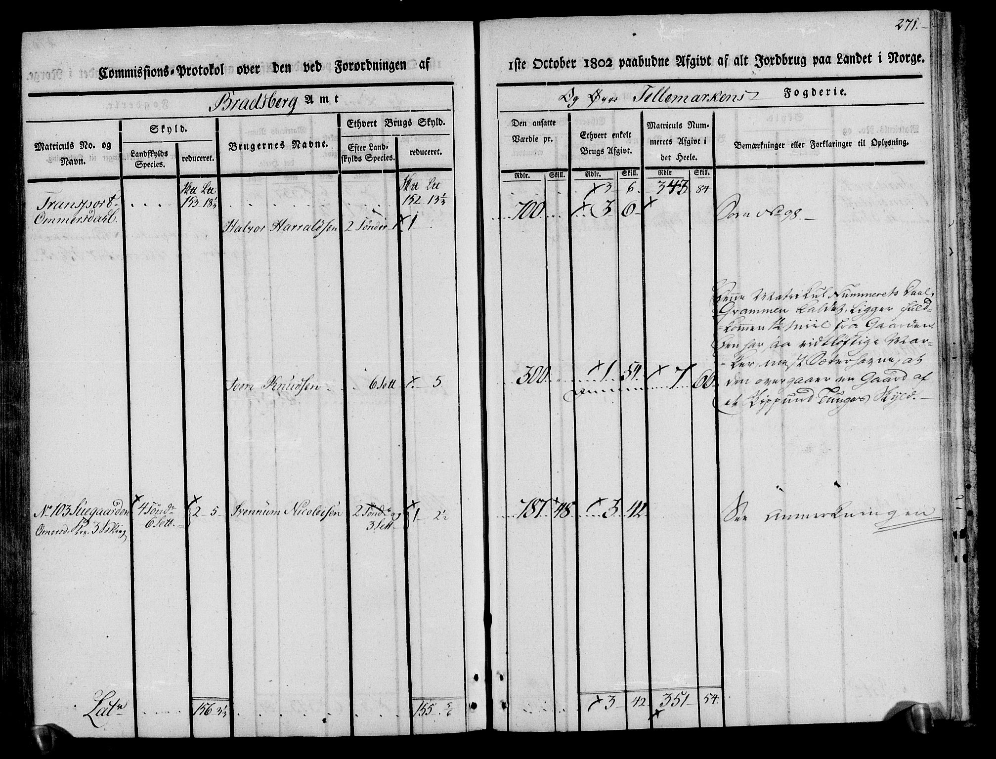 Rentekammeret inntil 1814, Realistisk ordnet avdeling, AV/RA-EA-4070/N/Ne/Nea/L0074: Øvre Telemarken fogderi. Kommisjonsprotokoll for fogderiets østre del - Tinn, Hjartdal og Seljord prestegjeld., 1803, p. 272