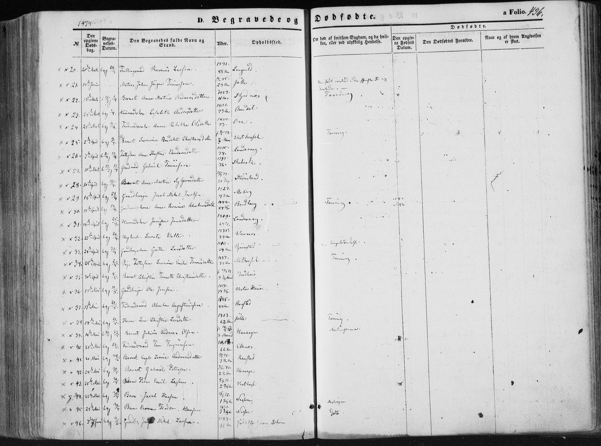 Lista sokneprestkontor, SAK/1111-0027/F/Fa/L0011: Parish register (official) no. A 11, 1861-1878, p. 436
