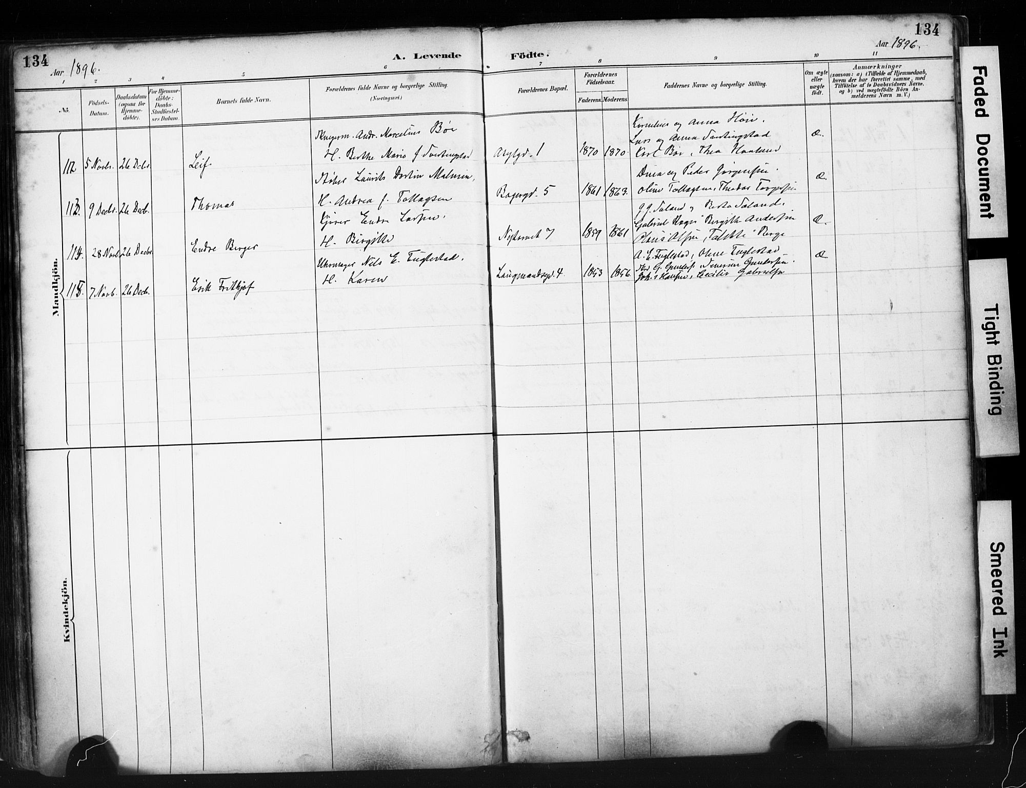 St. Petri sokneprestkontor, AV/SAST-A-101813/001/30/30BA/L0019: Parish register (official) no. A 20, 1888-1901, p. 134