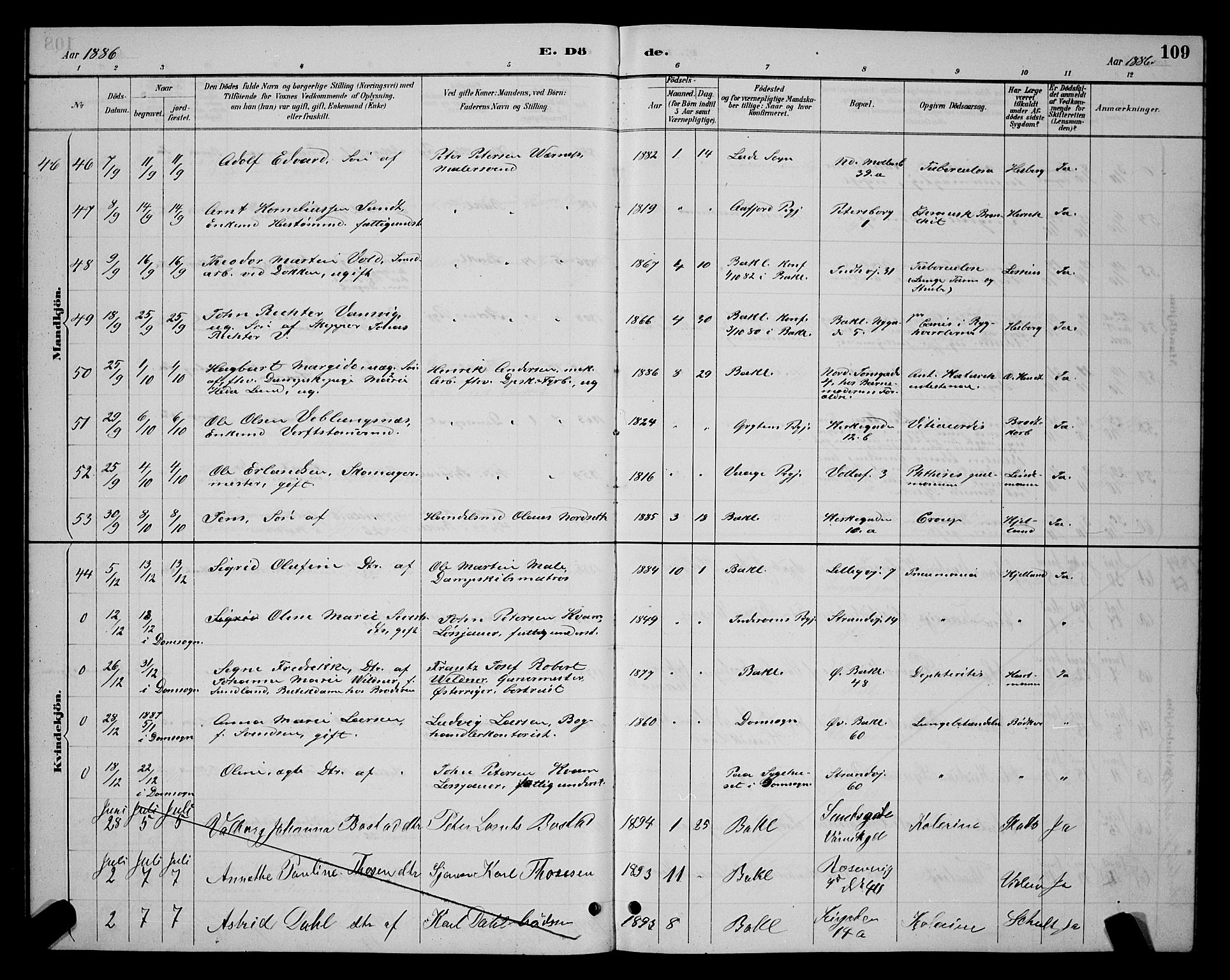 Ministerialprotokoller, klokkerbøker og fødselsregistre - Sør-Trøndelag, SAT/A-1456/604/L0223: Parish register (copy) no. 604C06, 1886-1897, p. 109