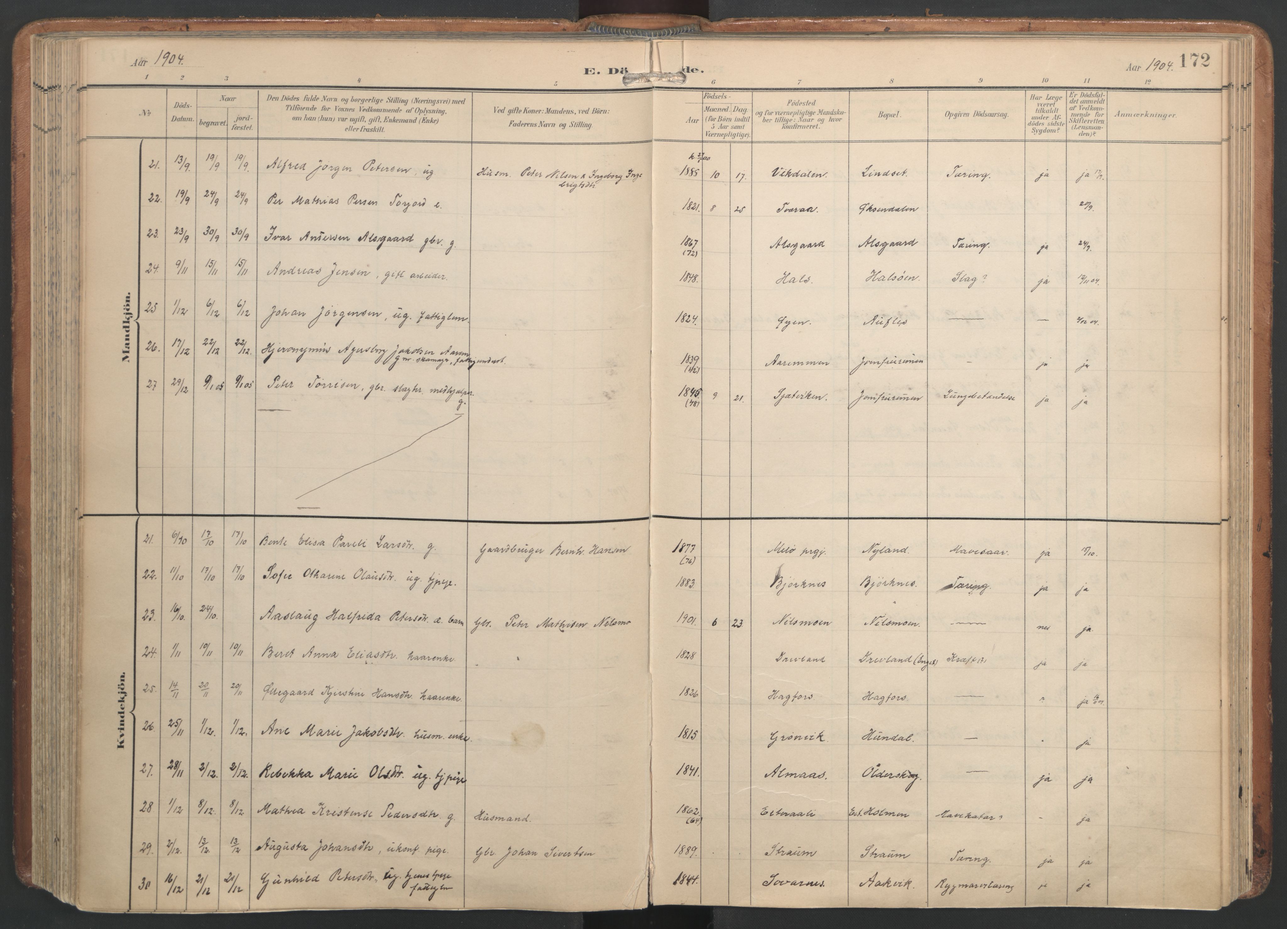 Ministerialprotokoller, klokkerbøker og fødselsregistre - Nordland, AV/SAT-A-1459/820/L0298: Parish register (official) no. 820A19, 1897-1915, p. 172