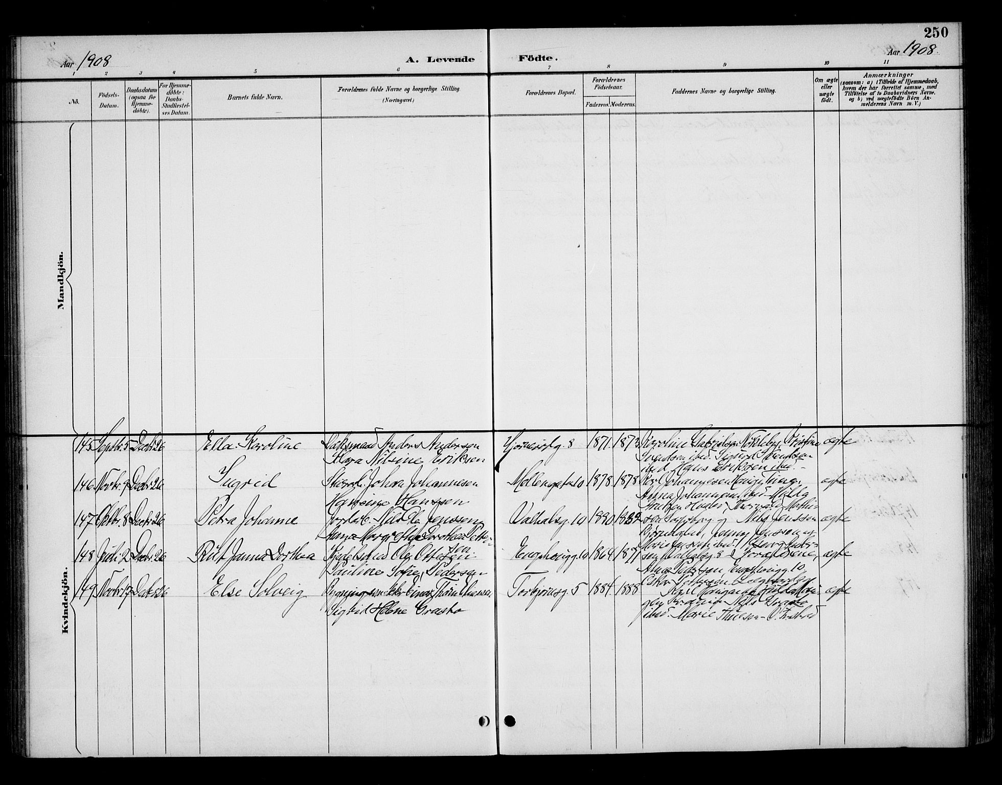 Fredrikstad domkirkes prestekontor Kirkebøker, AV/SAO-A-10906/G/Ga/L0002: Parish register (copy) no. 2, 1894-1918, p. 250