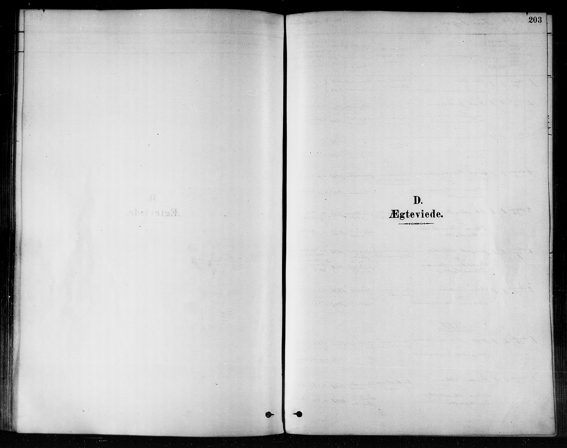 Ministerialprotokoller, klokkerbøker og fødselsregistre - Nord-Trøndelag, SAT/A-1458/746/L0449: Parish register (official) no. 746A07 /2, 1878-1899, p. 203