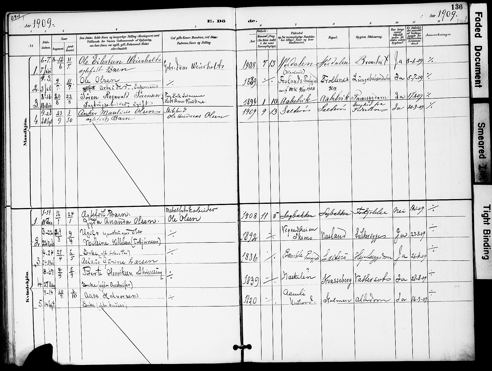 Austre Moland sokneprestkontor, AV/SAK-1111-0001/F/Fa/Fab/L0002: Parish register (official) no. A 2, 1894-1919, p. 136