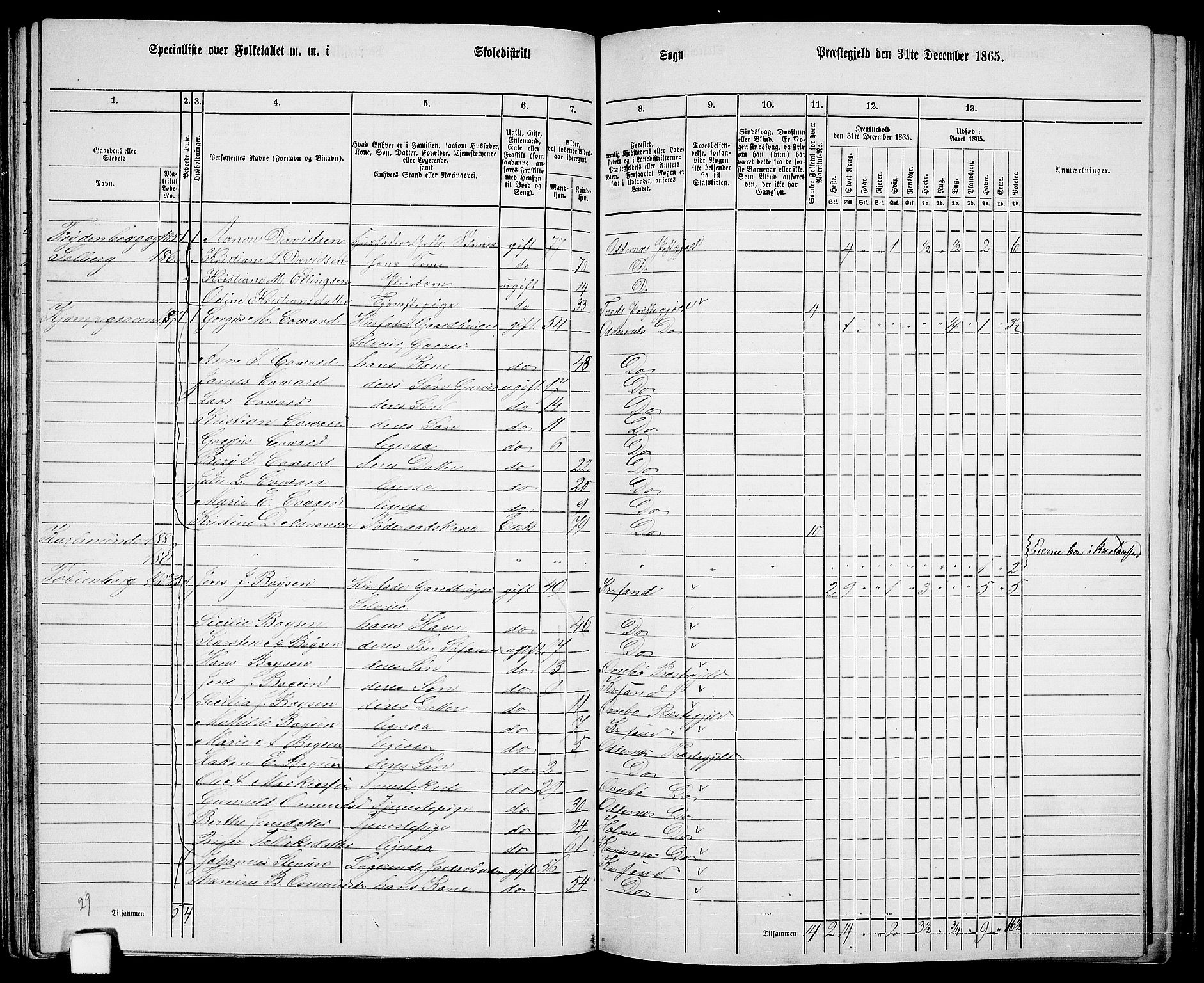 RA, 1865 census for Oddernes, 1865, p. 101