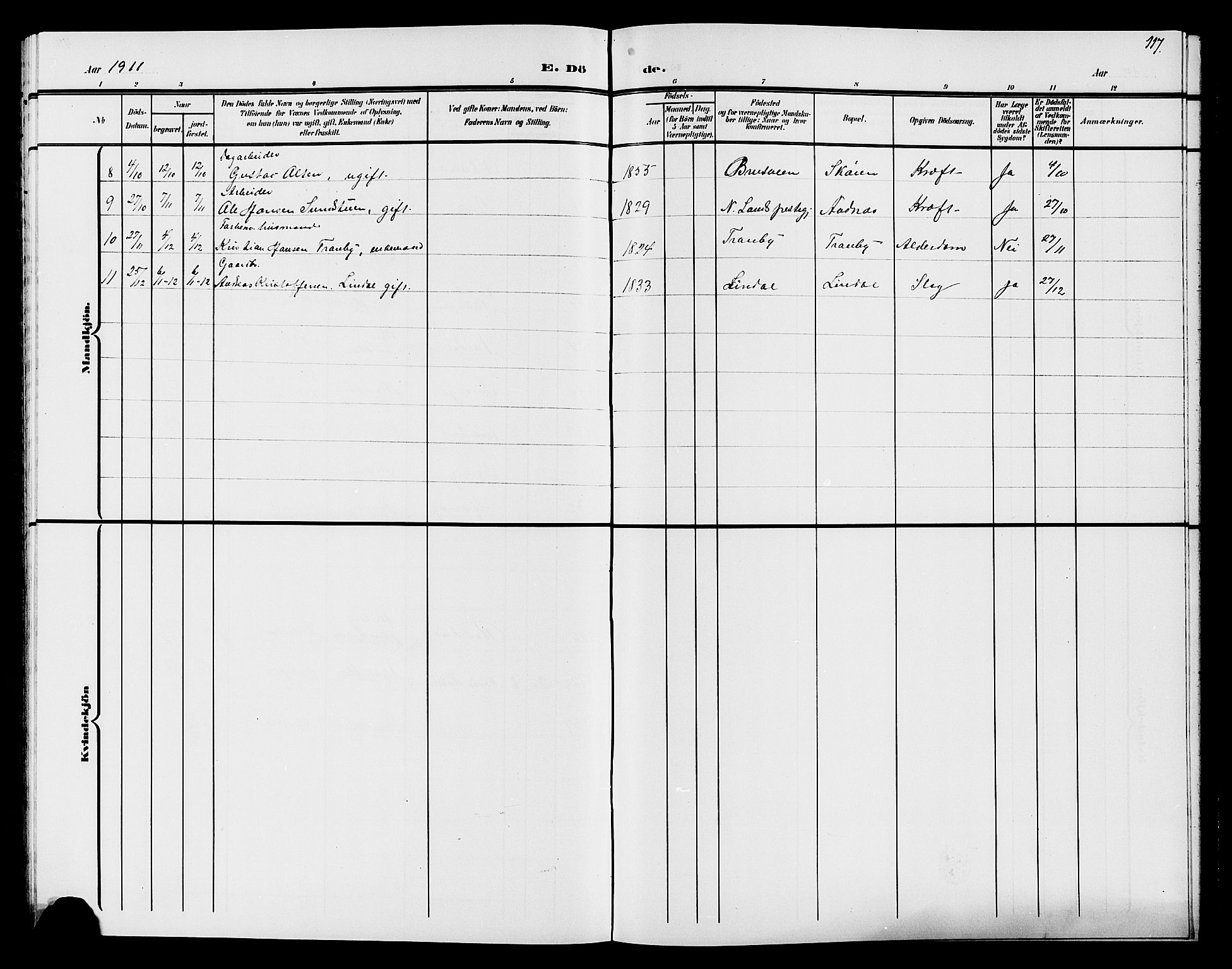 Søndre Land prestekontor, SAH/PREST-122/L/L0005: Parish register (copy) no. 5, 1902-1911, p. 117