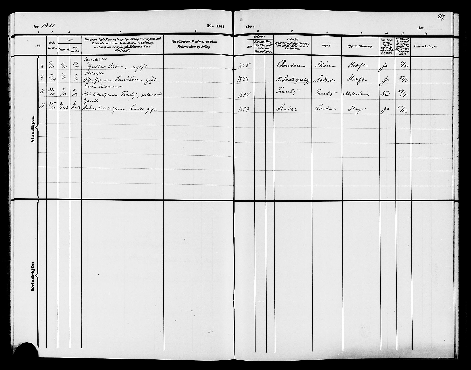 Søndre Land prestekontor, AV/SAH-PREST-122/L/L0005: Parish register (copy) no. 5, 1902-1911, p. 117