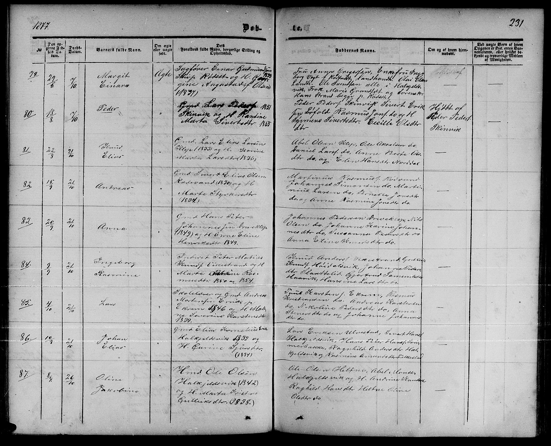 Ministerialprotokoller, klokkerbøker og fødselsregistre - Møre og Romsdal, AV/SAT-A-1454/511/L0157: Parish register (copy) no. 511C03, 1864-1884, p. 231