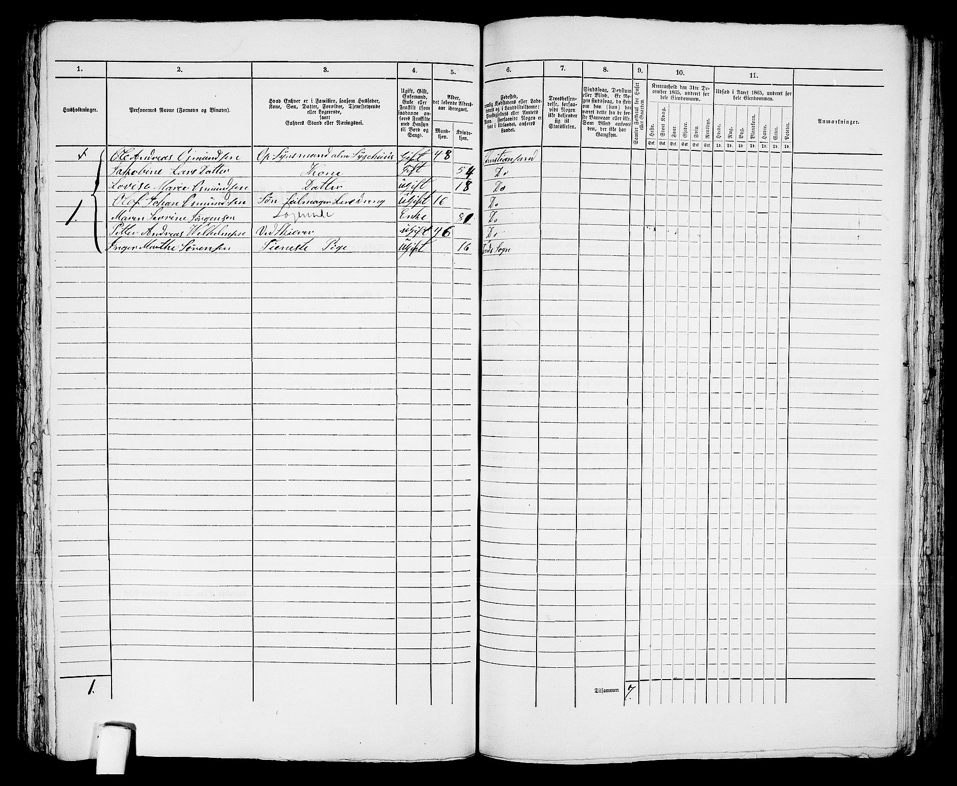 RA, 1865 census for Kristiansand, 1865, p. 1442