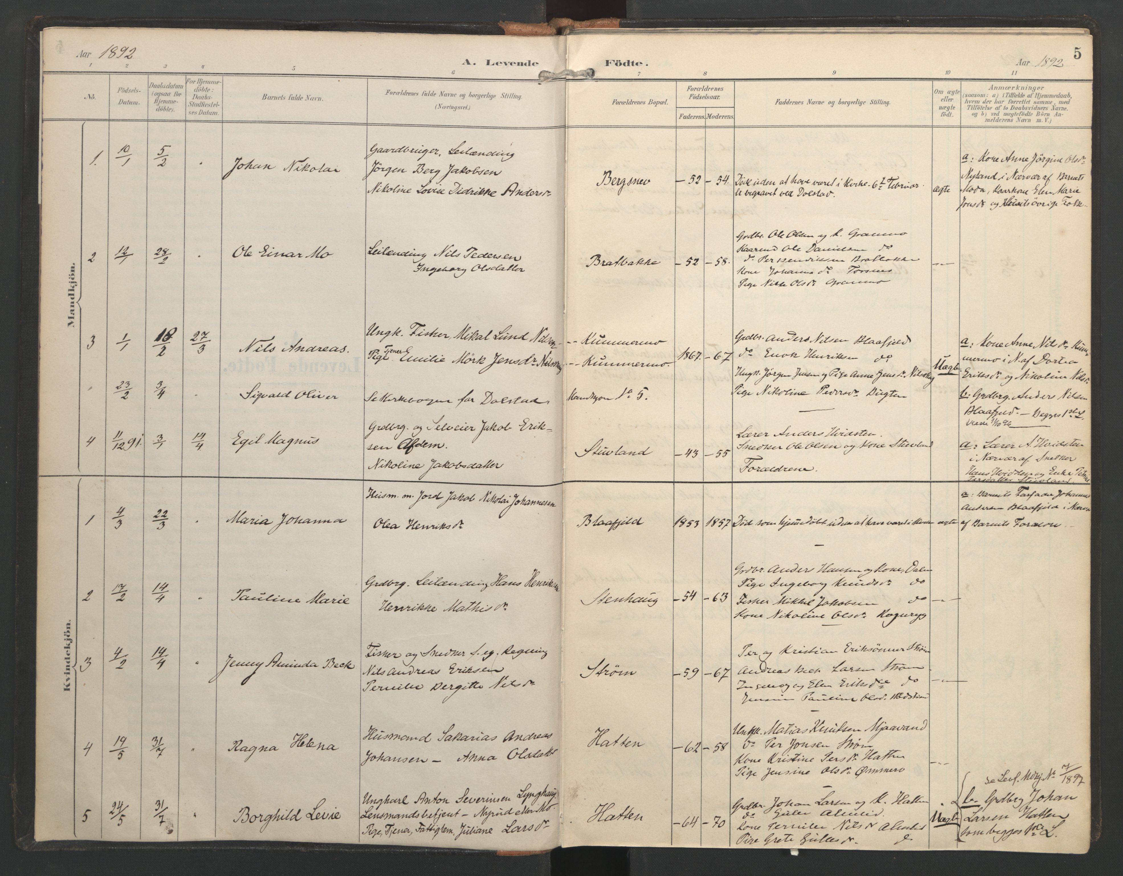 Ministerialprotokoller, klokkerbøker og fødselsregistre - Nordland, SAT/A-1459/821/L0317: Parish register (official) no. 821A01, 1892-1907, p. 5