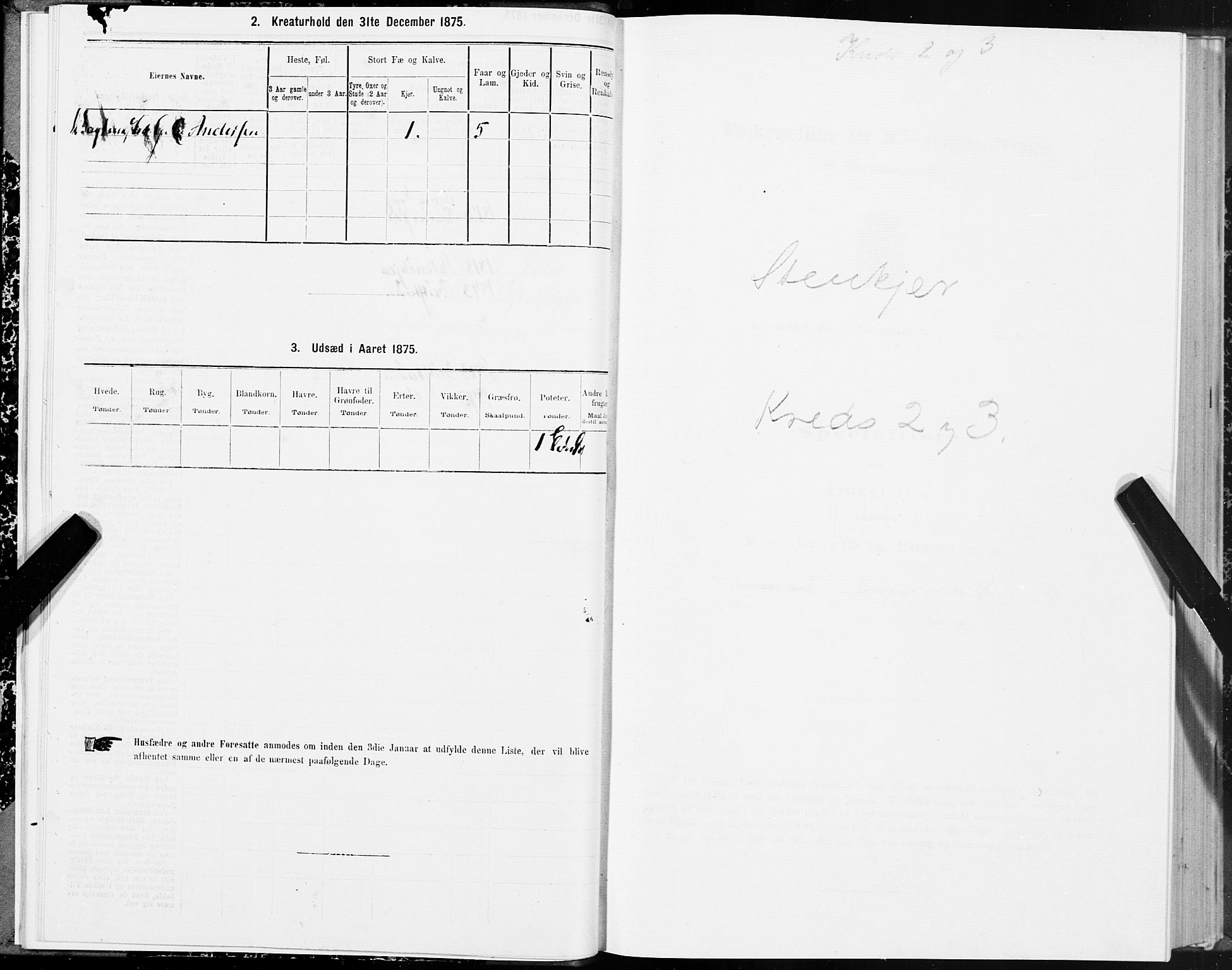 SAT, 1875 census for 1702B Steinkjer/Steinkjer, 1875