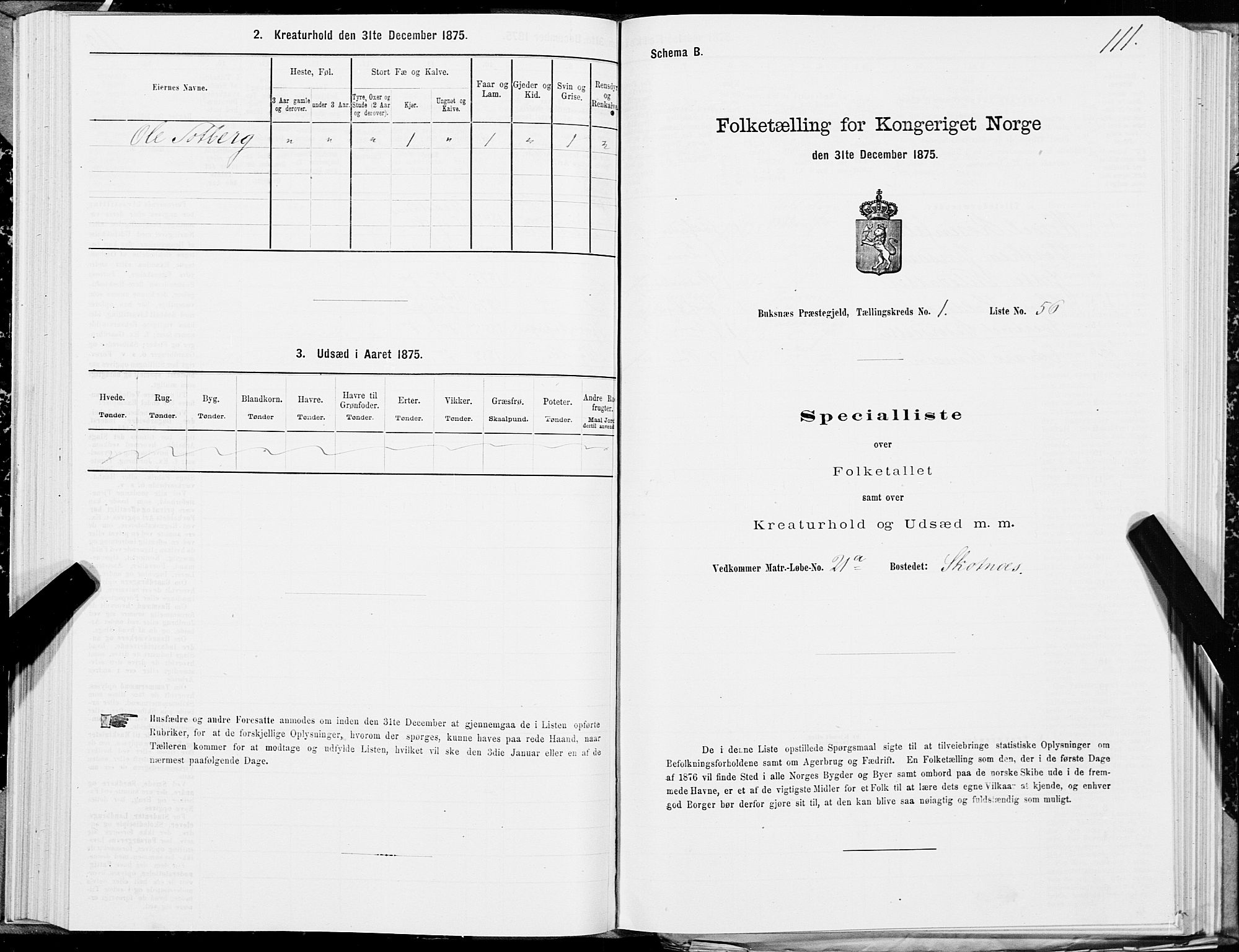 SAT, 1875 census for 1860P Buksnes, 1875, p. 1111
