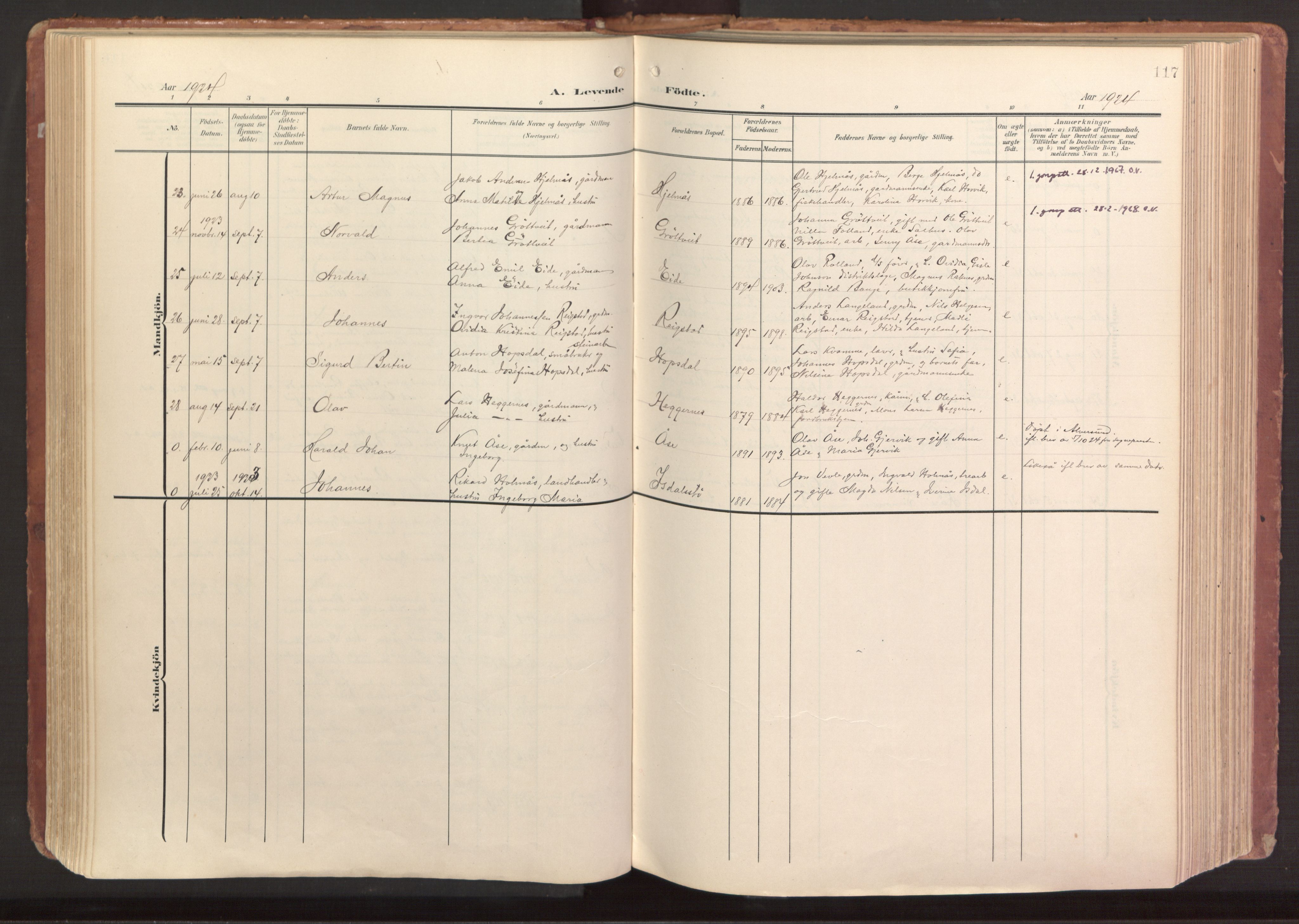 Hamre sokneprestembete, AV/SAB-A-75501/H/Ha/Haa/Haab/L0002: Parish register (official) no. B 2, 1905-1924, p. 117