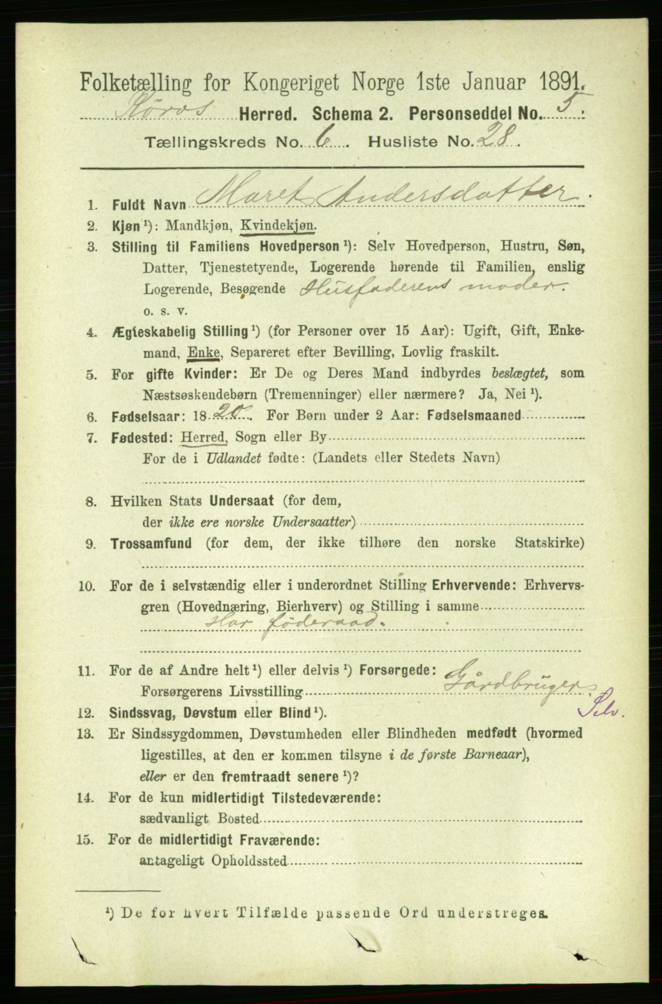 RA, 1891 census for 1640 Røros, 1891, p. 1331