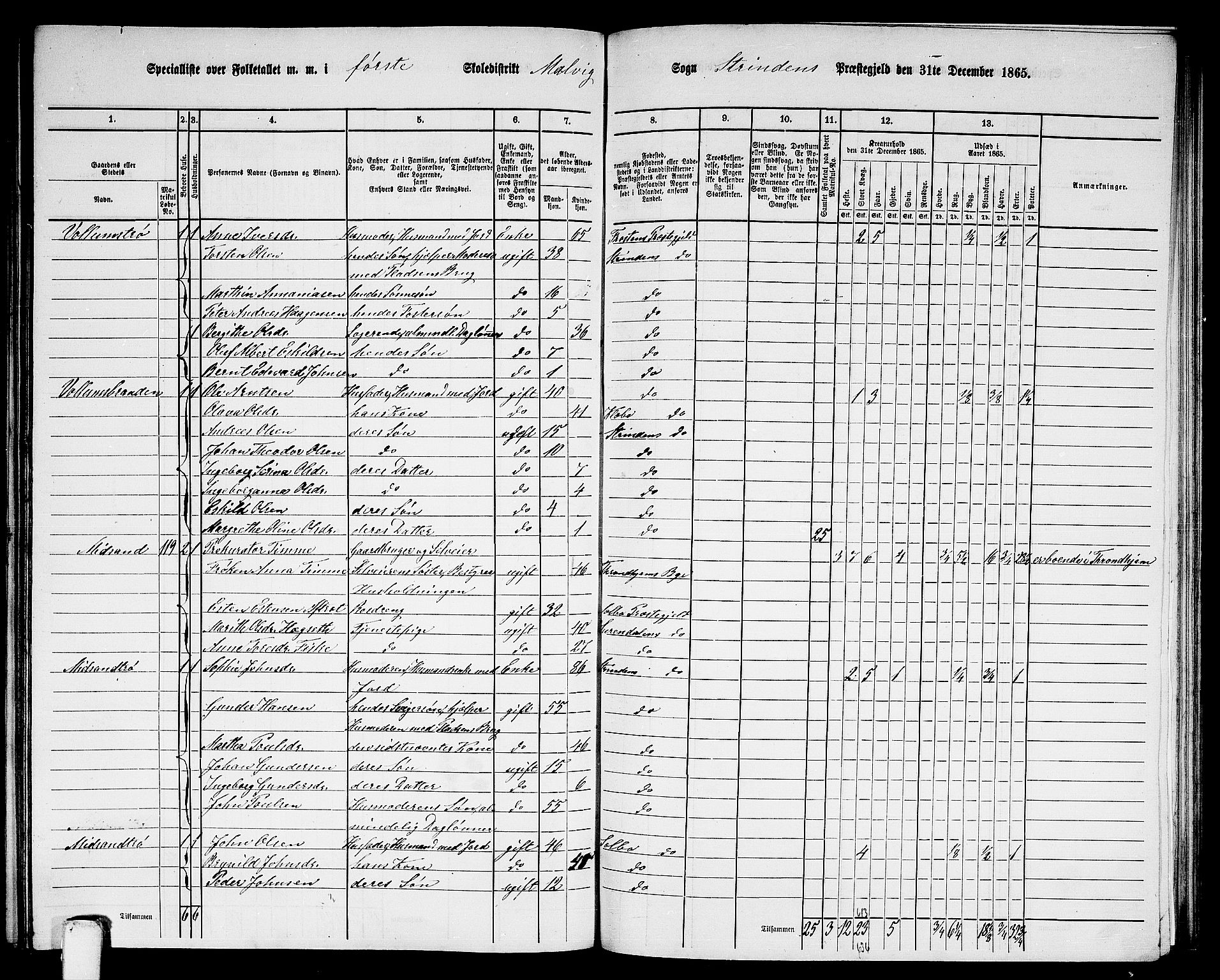 RA, 1865 census for Strinda, 1865, p. 208