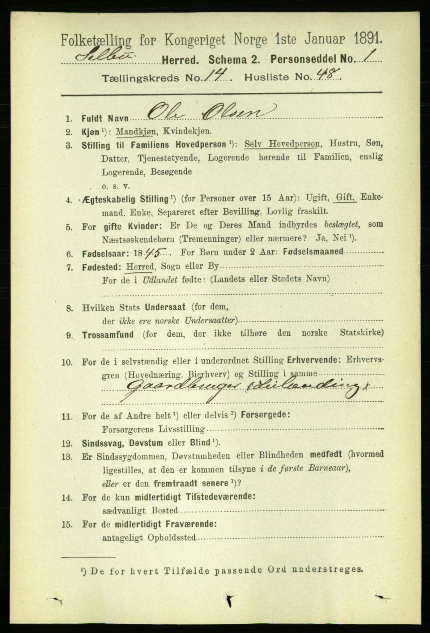 RA, 1891 census for 1664 Selbu, 1891, p. 5385