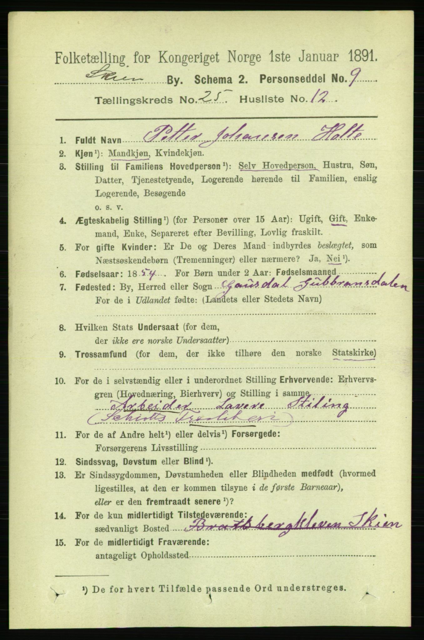 RA, 1891 census for 0806 Skien, 1891, p. 6126